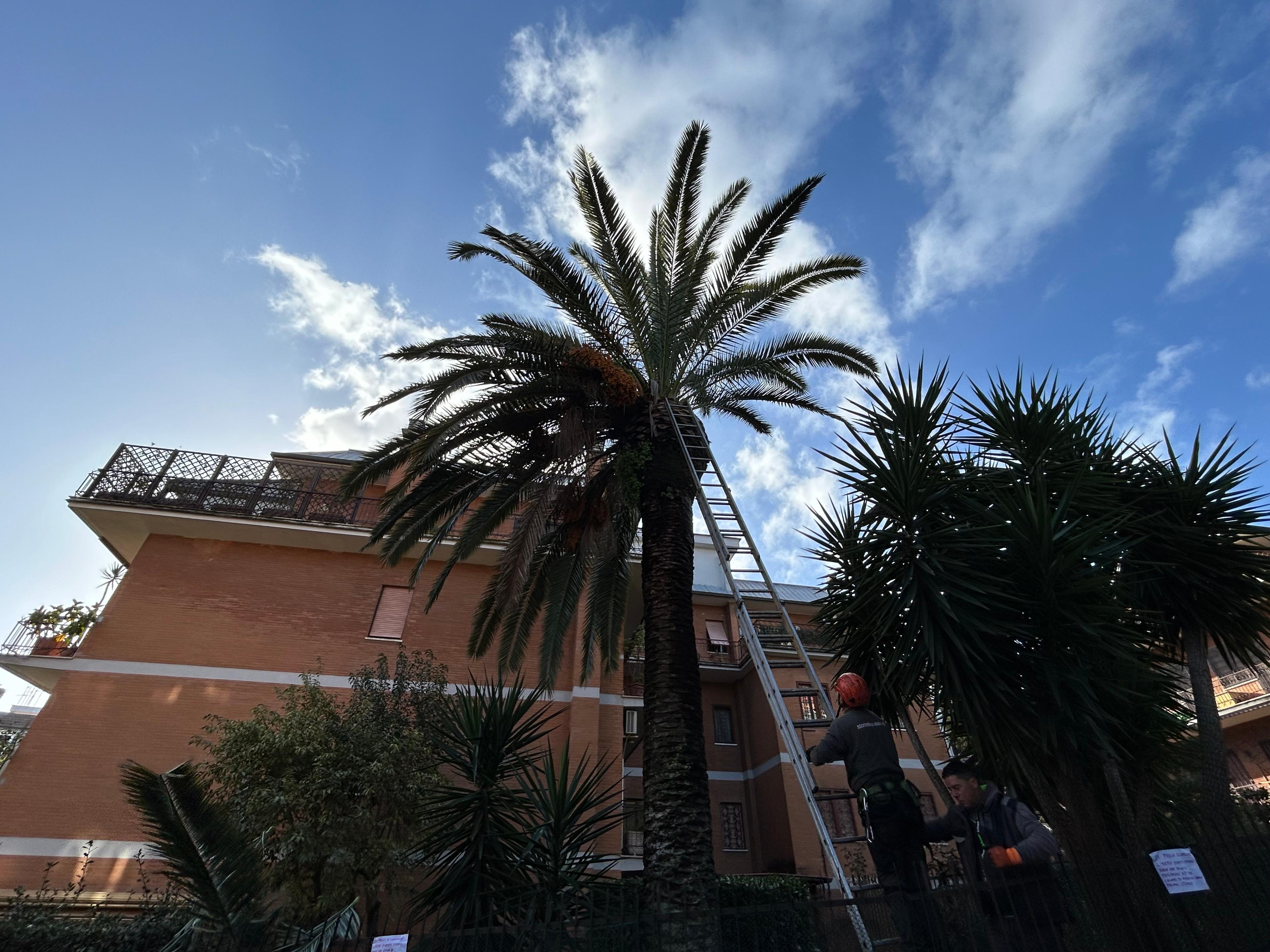 6dae0197-362b-49aa-a3ff-2d999189eaa7.jpeg