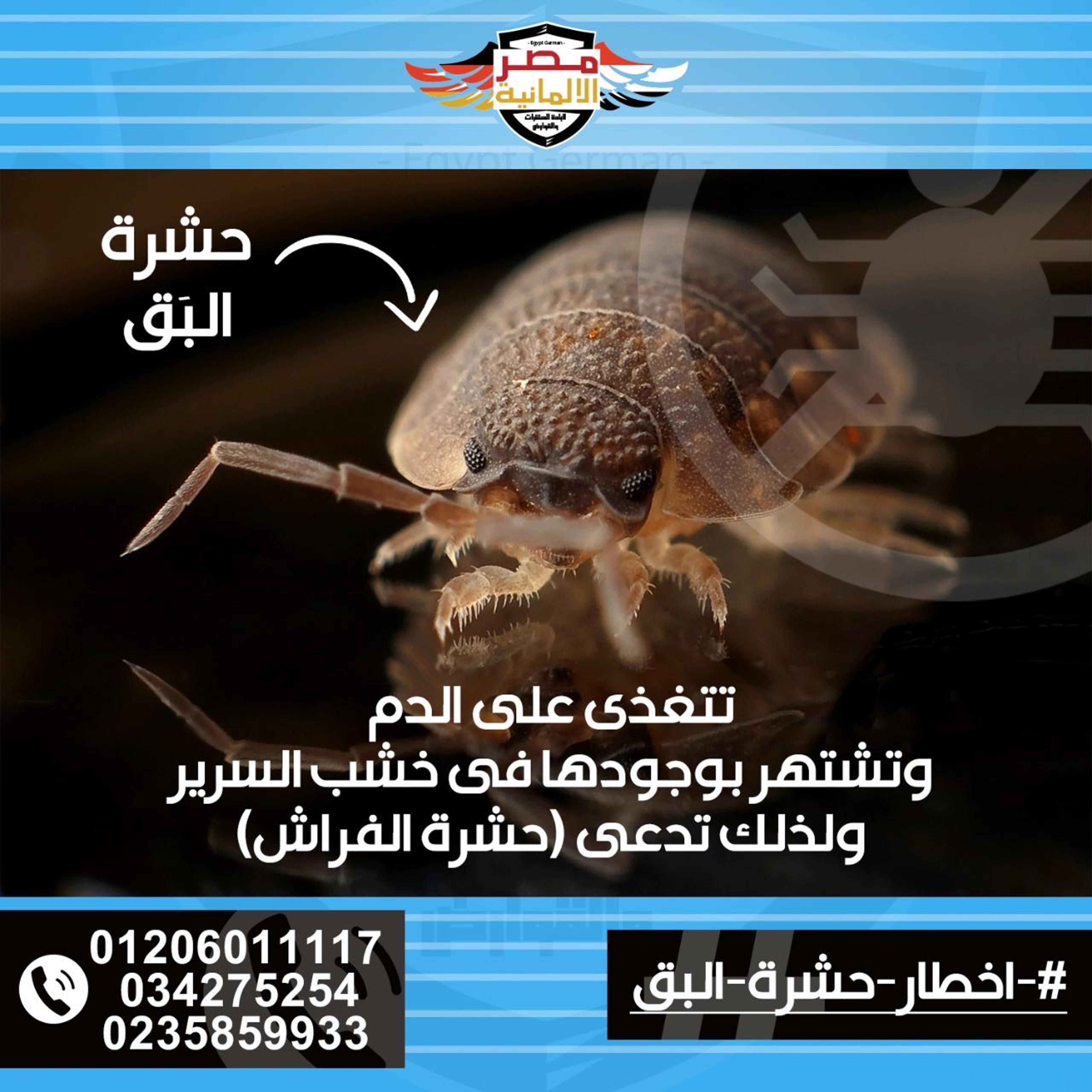 6dccfce7-765f-41da-9704-c8e6eb00add2.jpeg