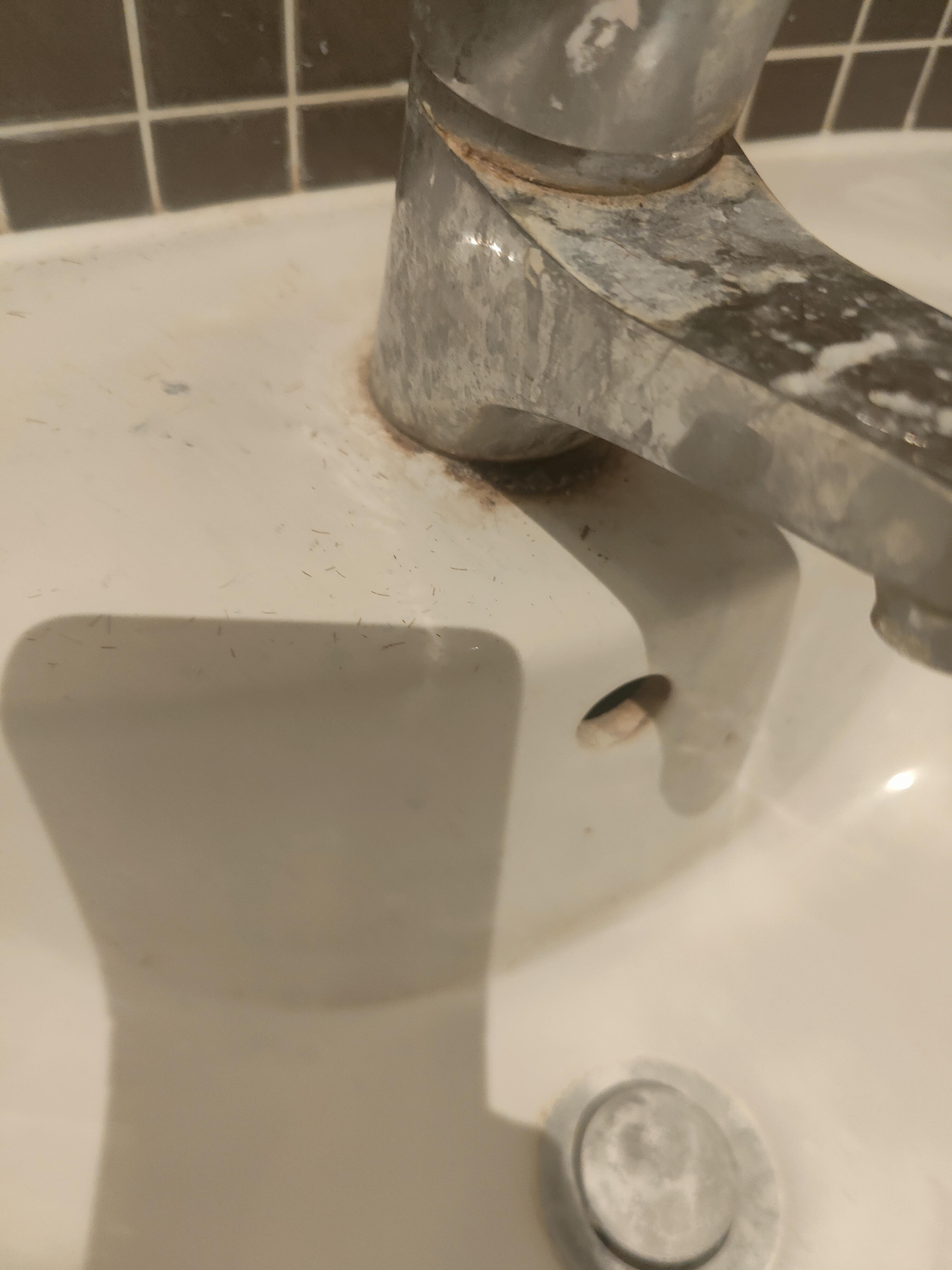 6dff0707-c8cb-429b-ac1c-c65ca558d62e.jpeg