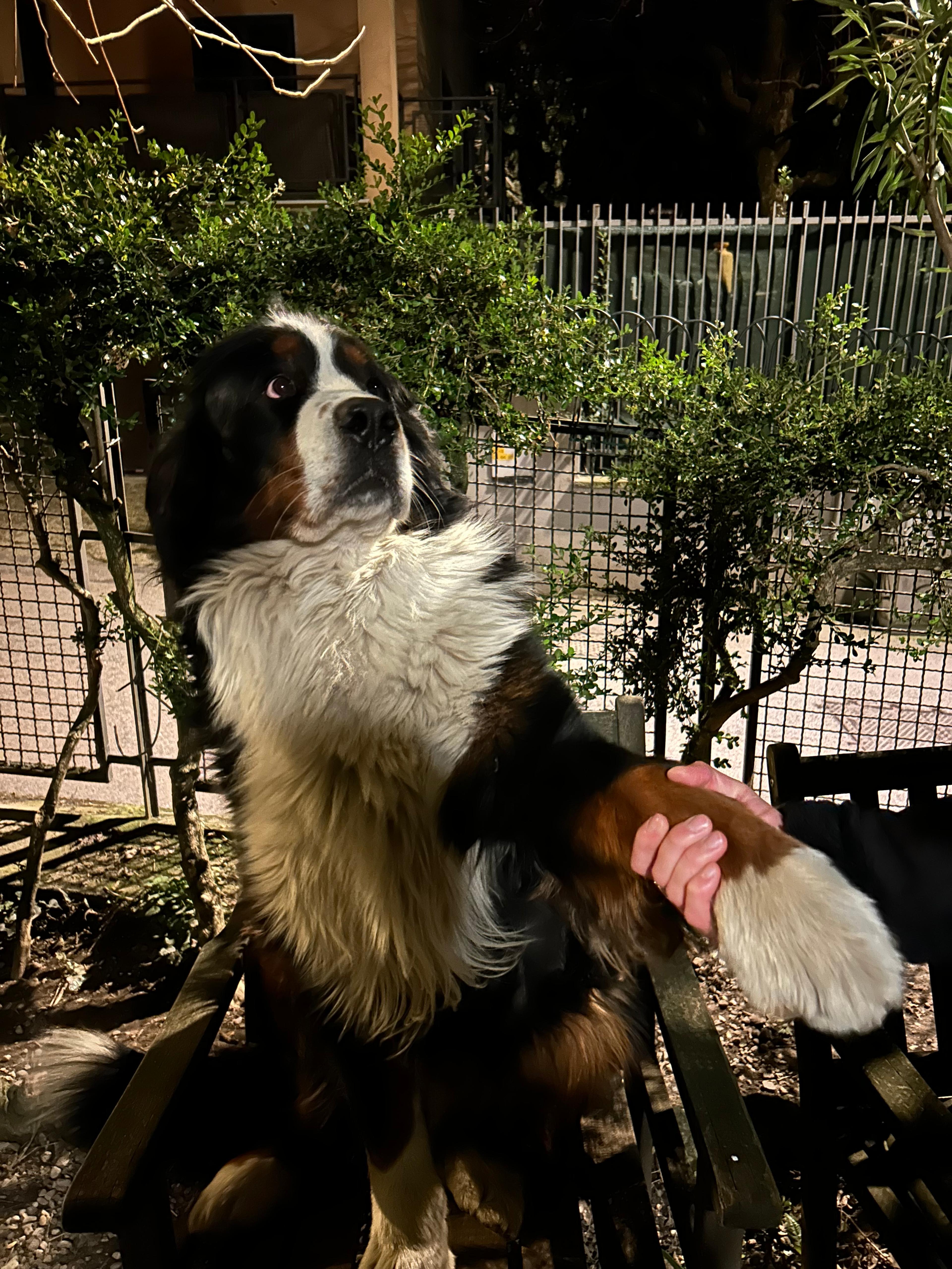 6e21b209-a6f3-4e53-984e-828df4380ce1.jpeg