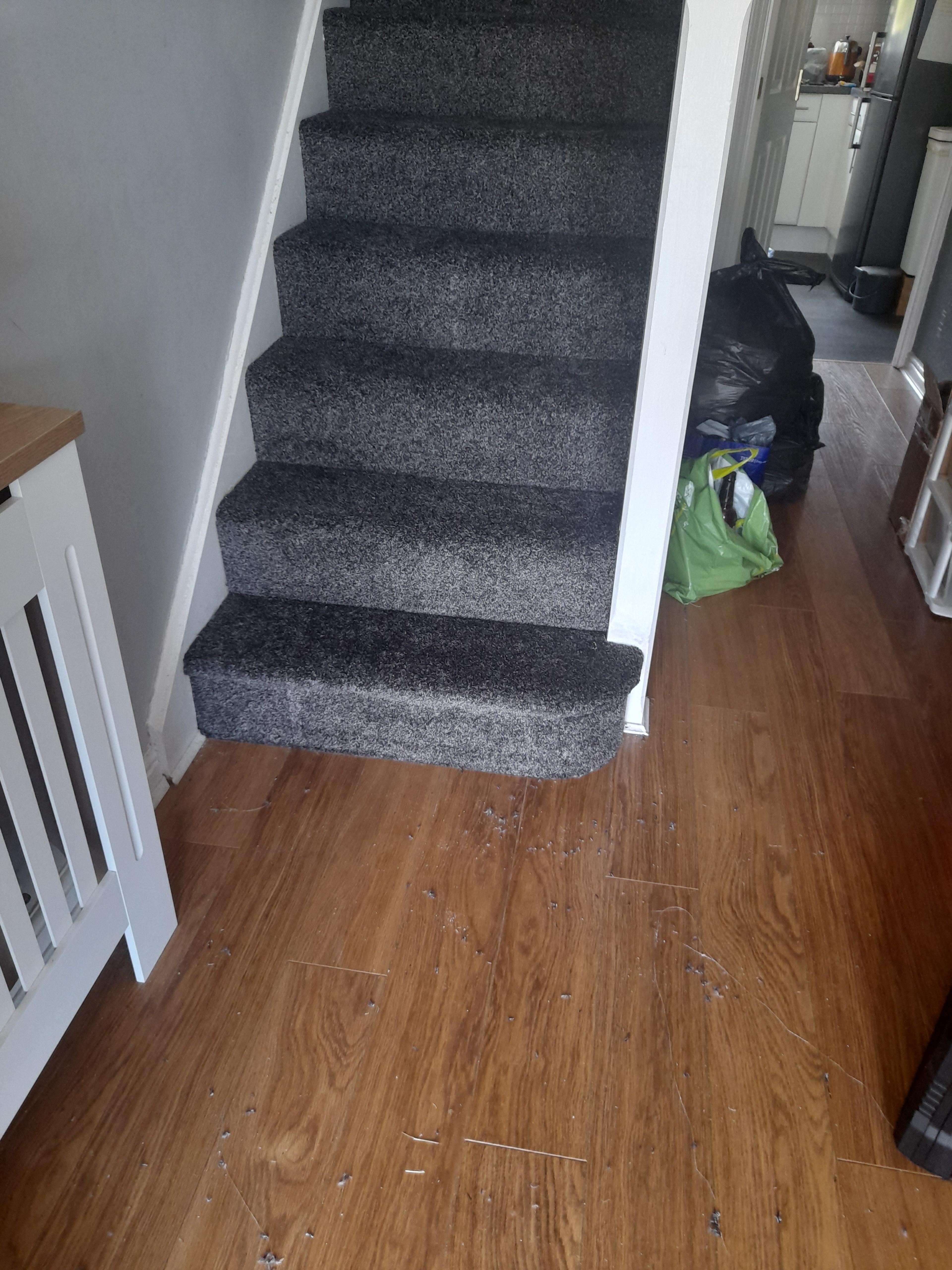 6e6e9f3e-b054-4883-bff4-ada66e0ea7e3.jpeg
