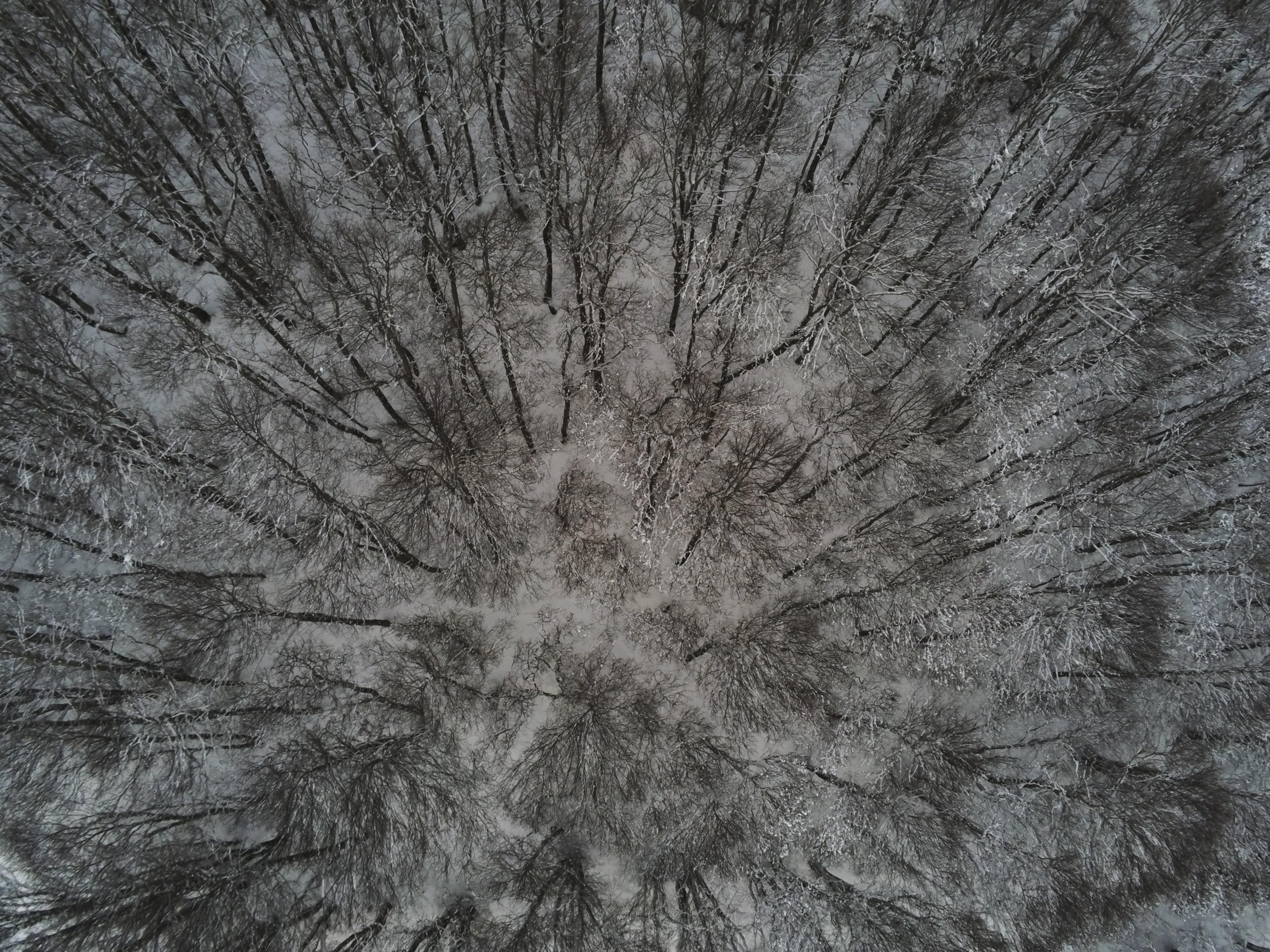 6e7b218a-1549-40af-b01c-44ab68aa2758.jpeg