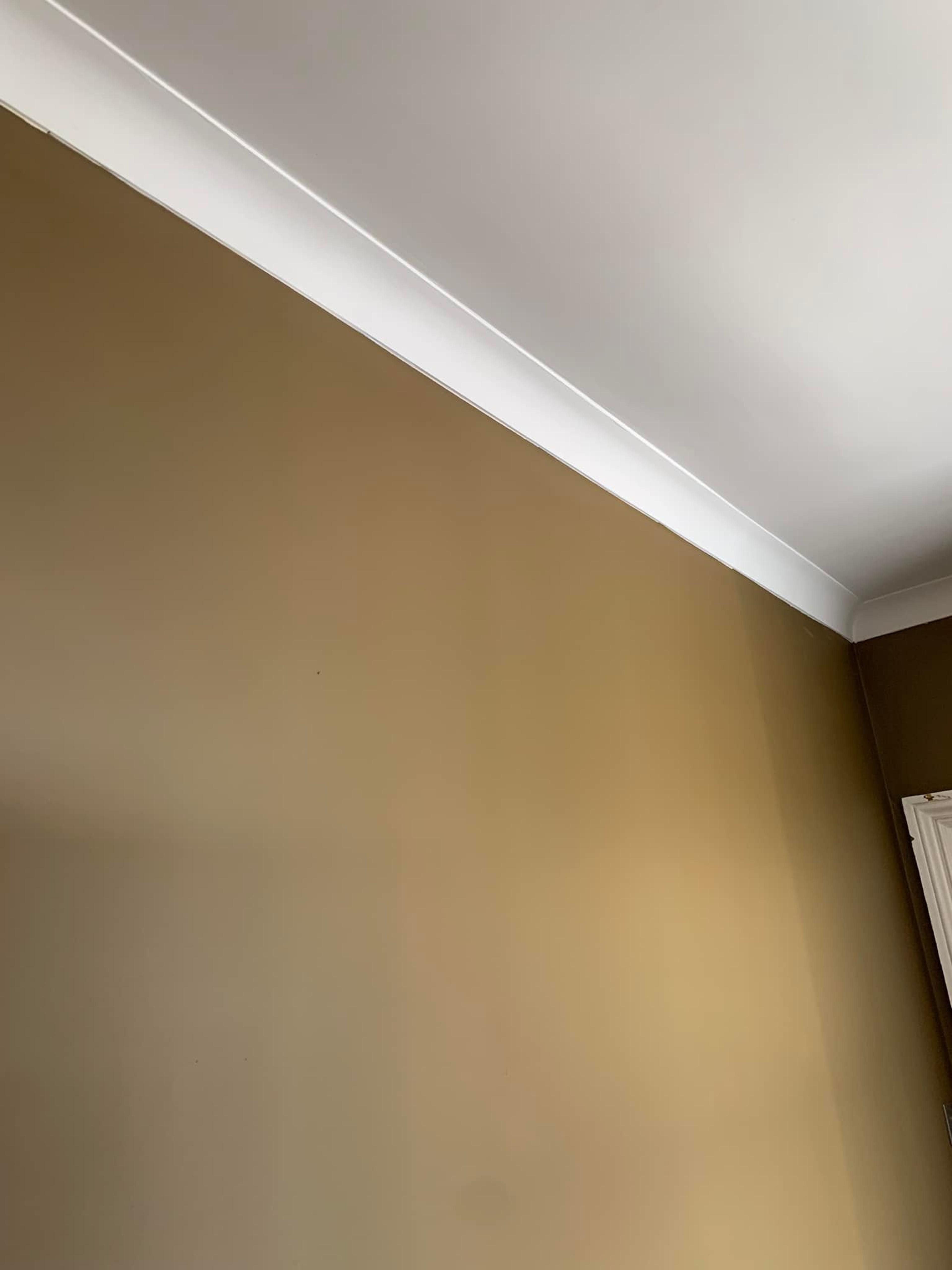 6e800083-4ed6-4c9f-a69e-285144a2a823.jpeg