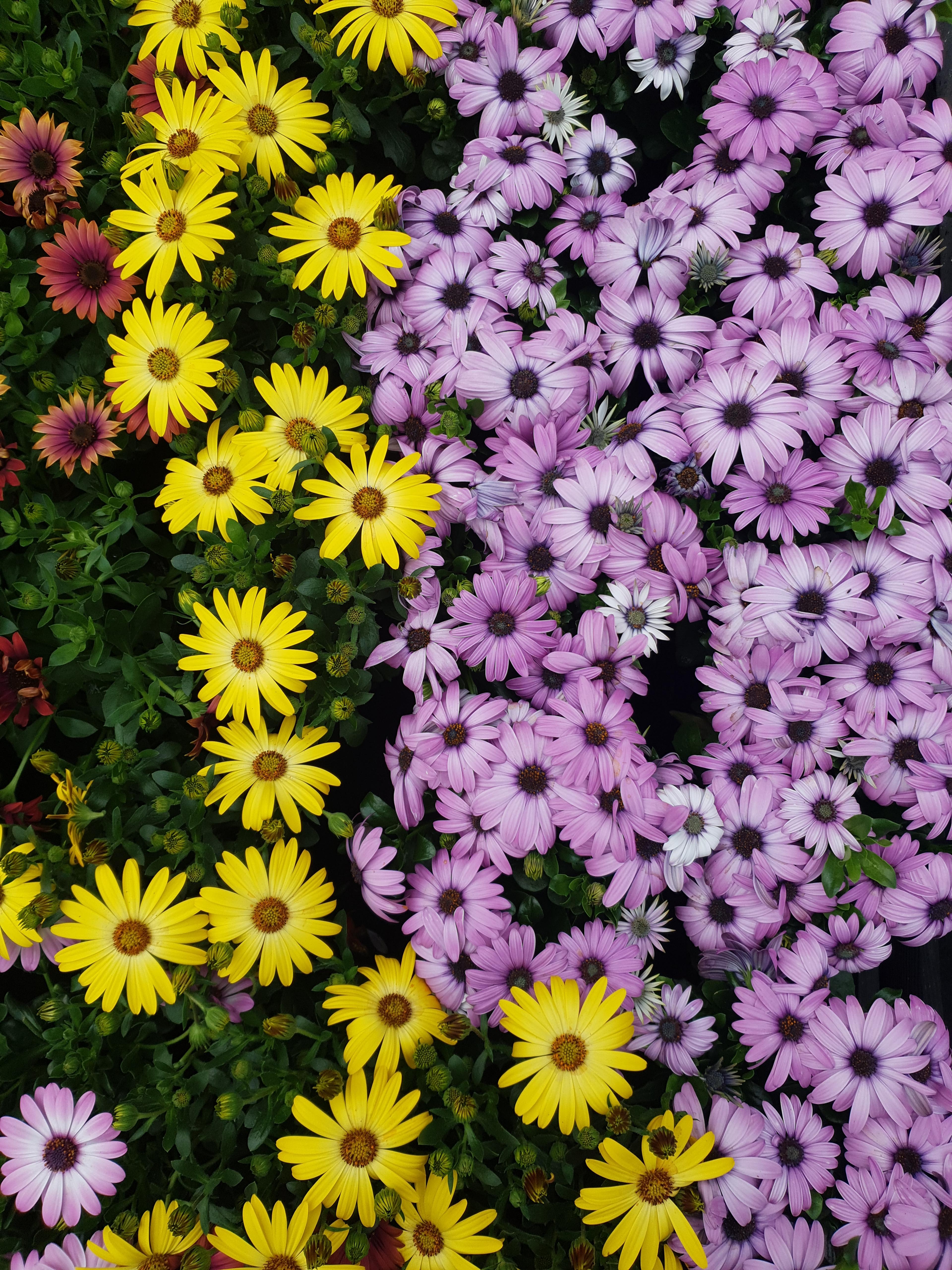 6ef046ad-a91e-4036-9042-3470a0db8aa3.jpeg