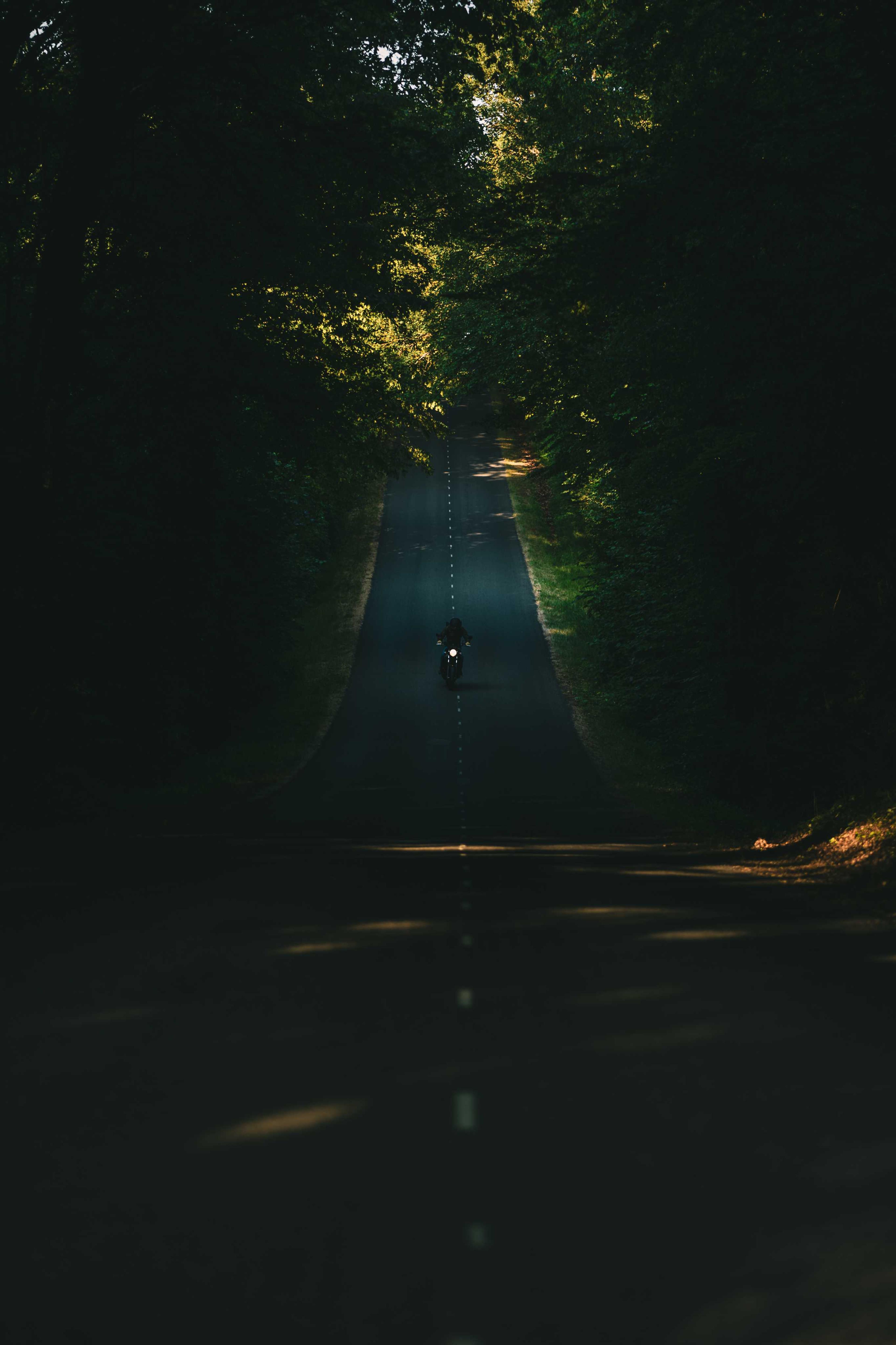 6f70d1ab-3d11-44f1-b051-e188e1e30942.jpeg