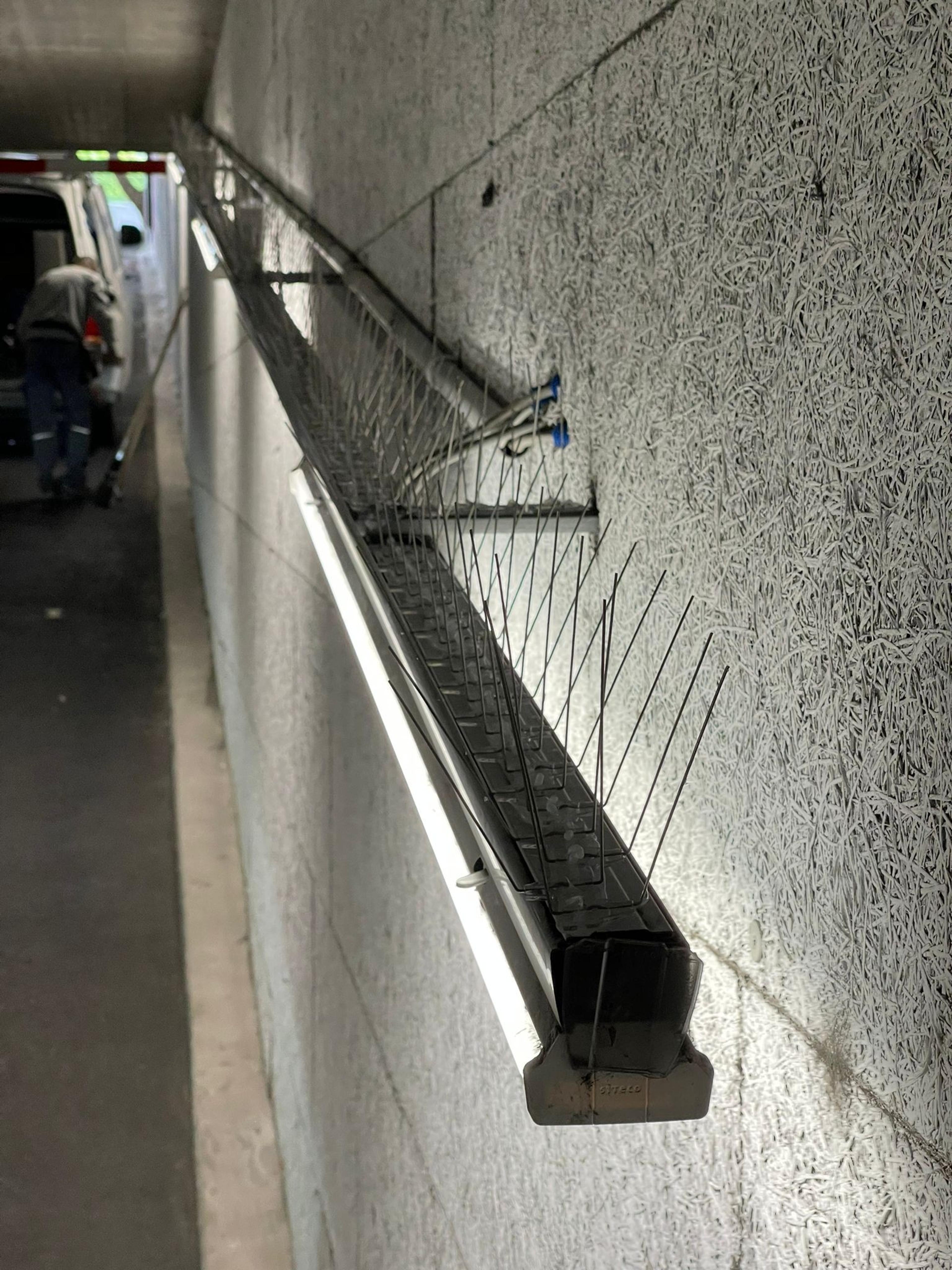 7124522f-cfc4-4467-95f9-8290d3f28aa4.jpeg