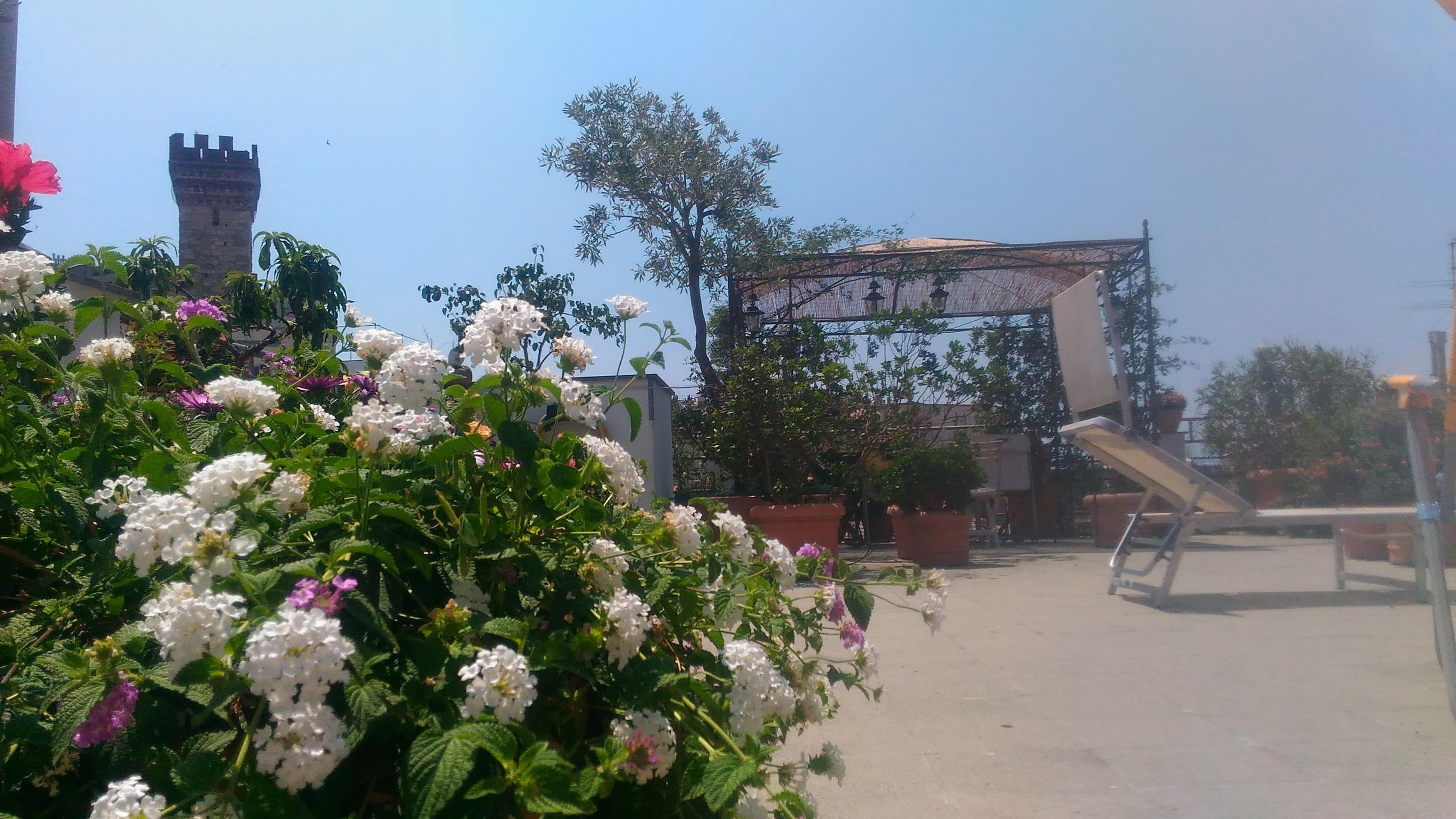 7149f9c5-552e-4521-b0ec-52181ea3418b.jpeg