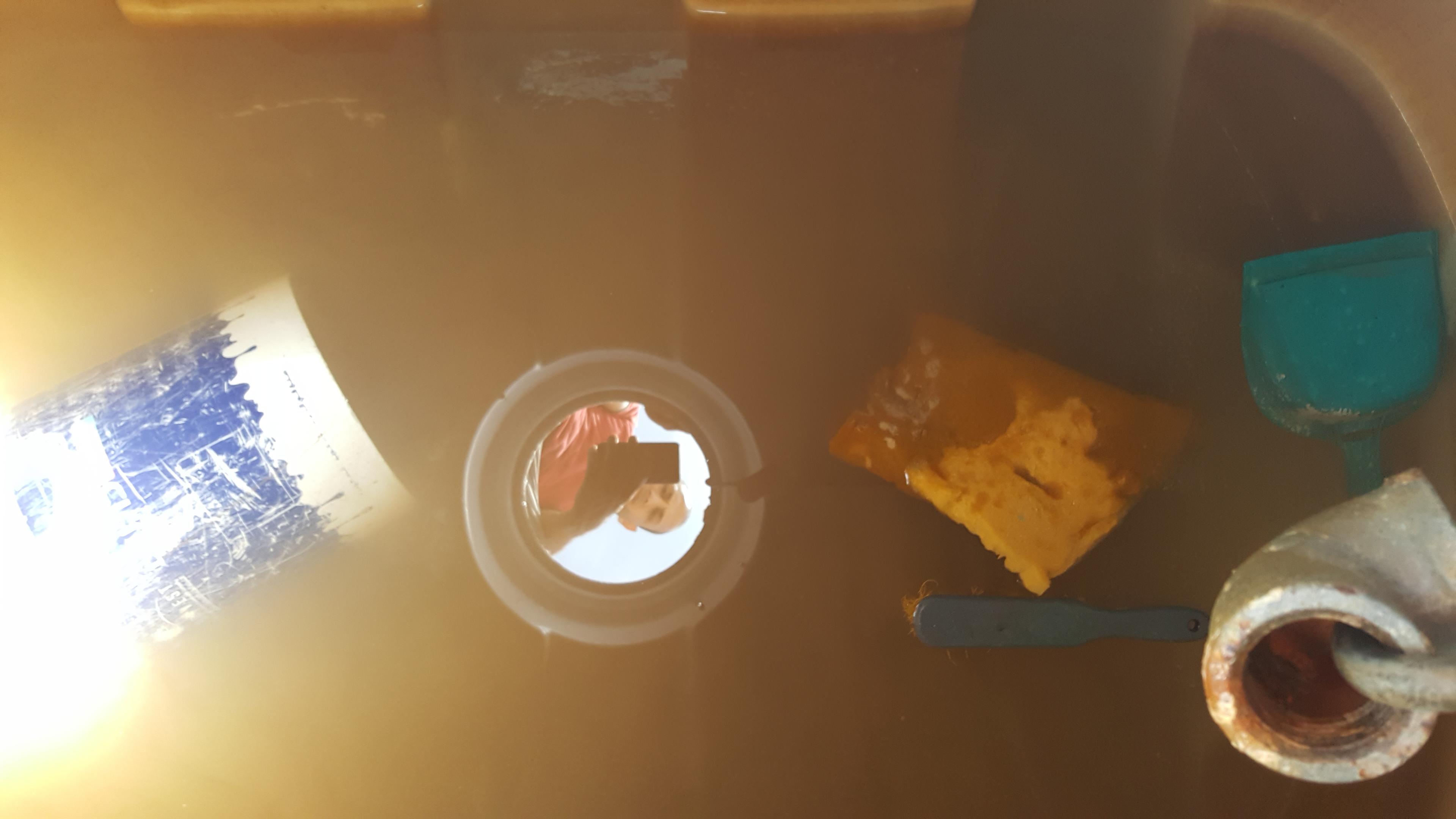 719ef157-48f1-41b5-87c2-7d5ae48e3edb.jpeg