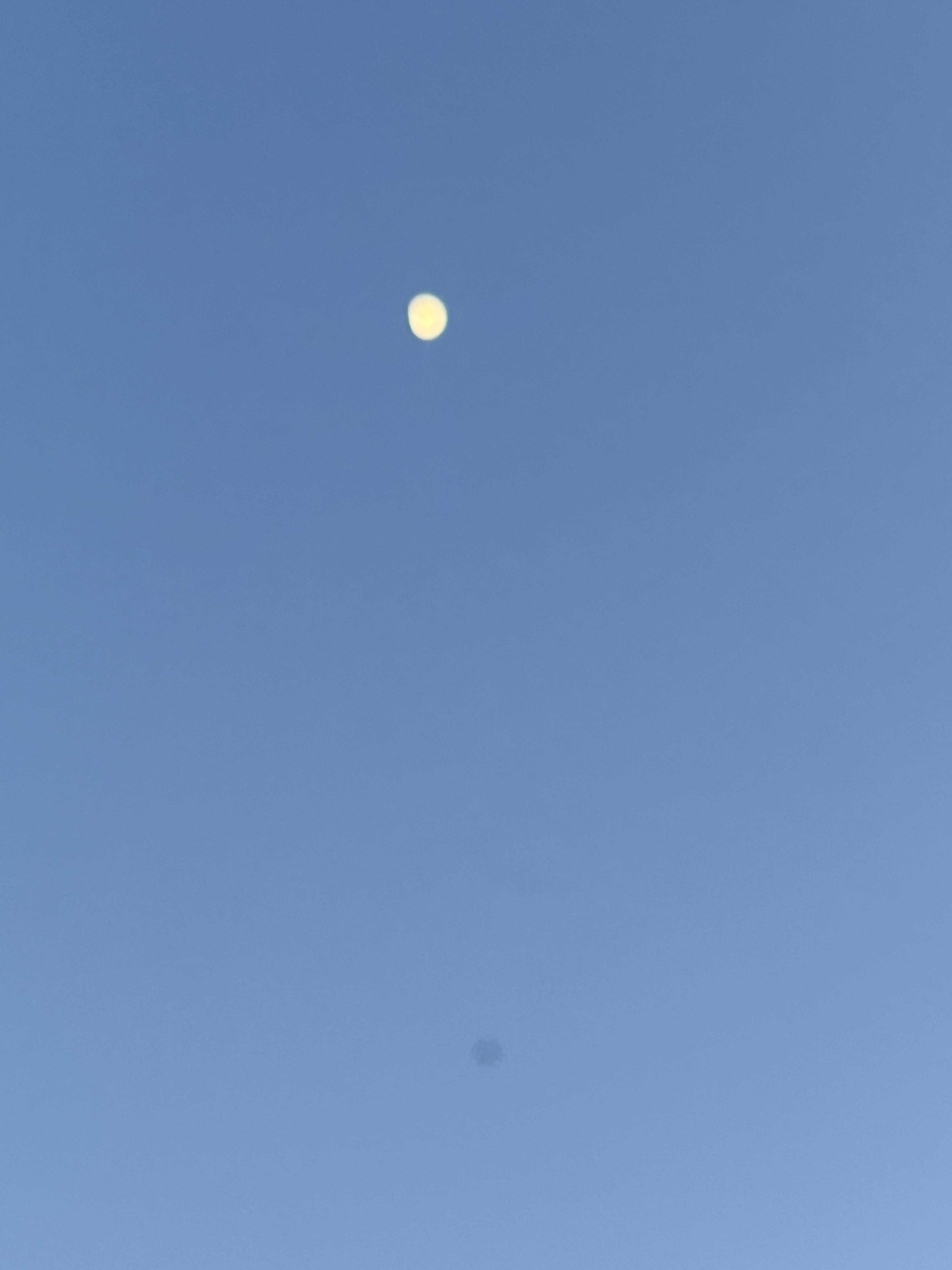 71e7696f-c619-4ca5-aaf3-3d60c593c0a4.jpeg