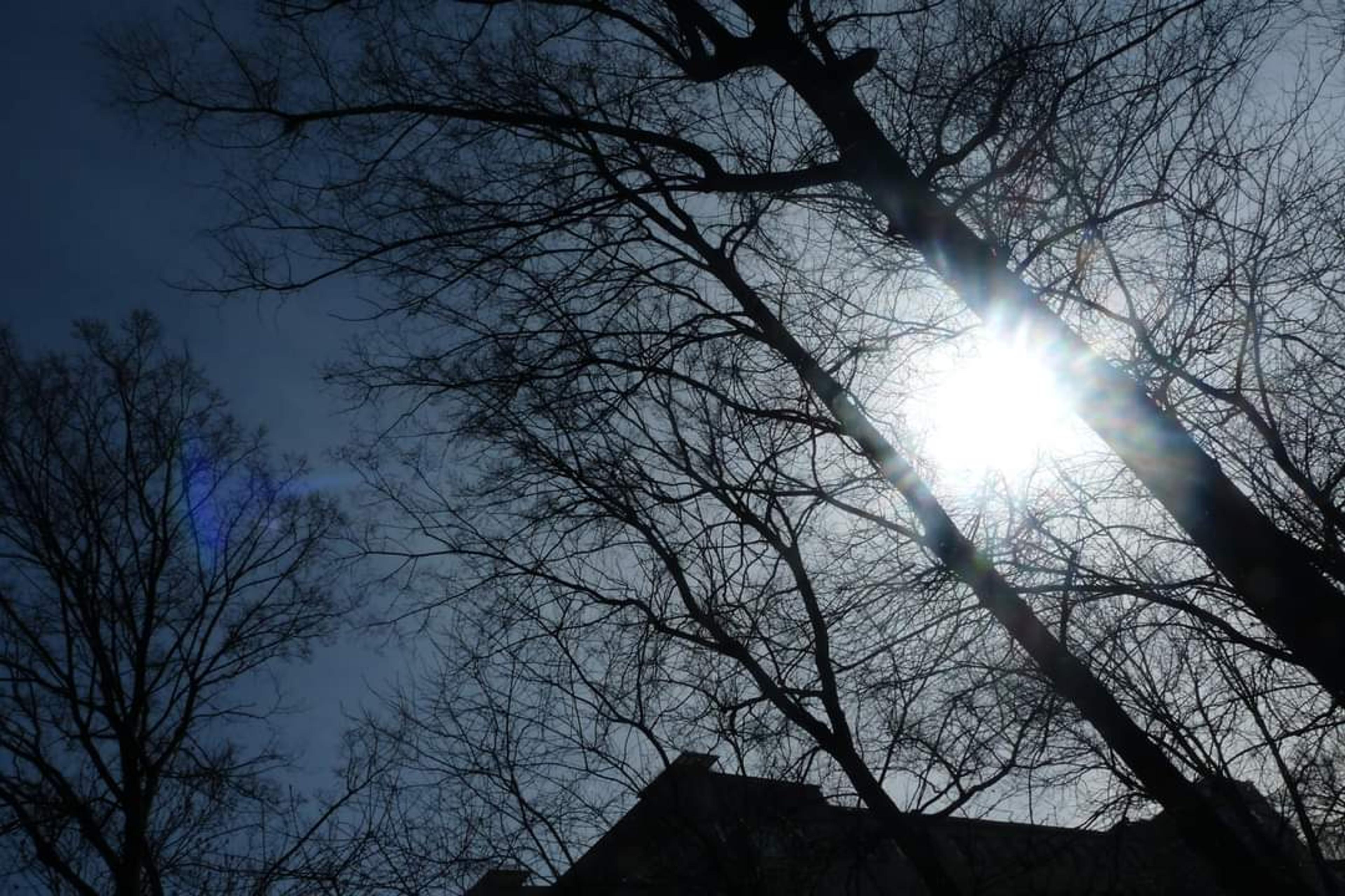 72d6a1de-b3fb-4b6a-a972-dd09e0c194bb.jpeg