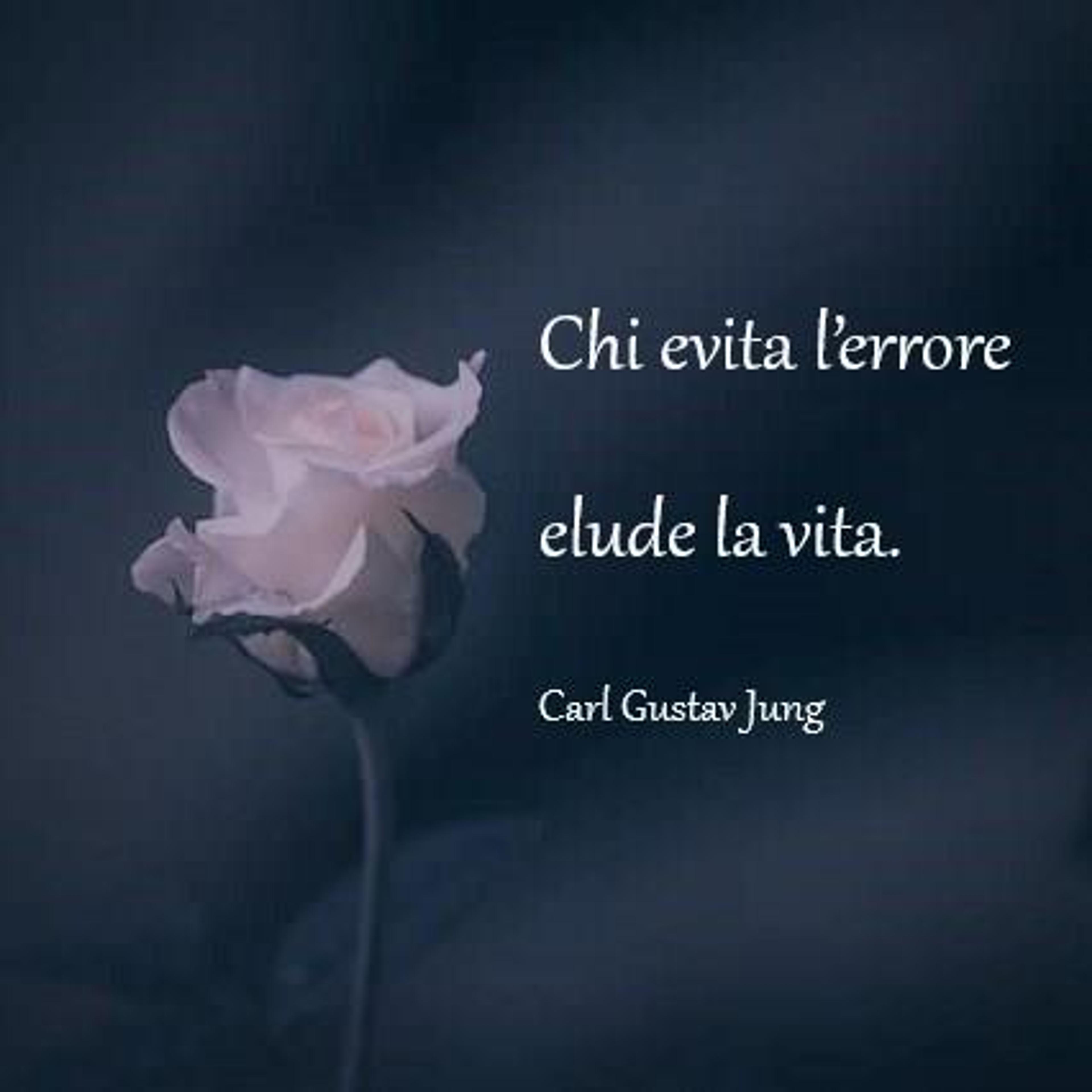 72ea80bb-7d52-420e-addb-ed05ea96018e.jpeg