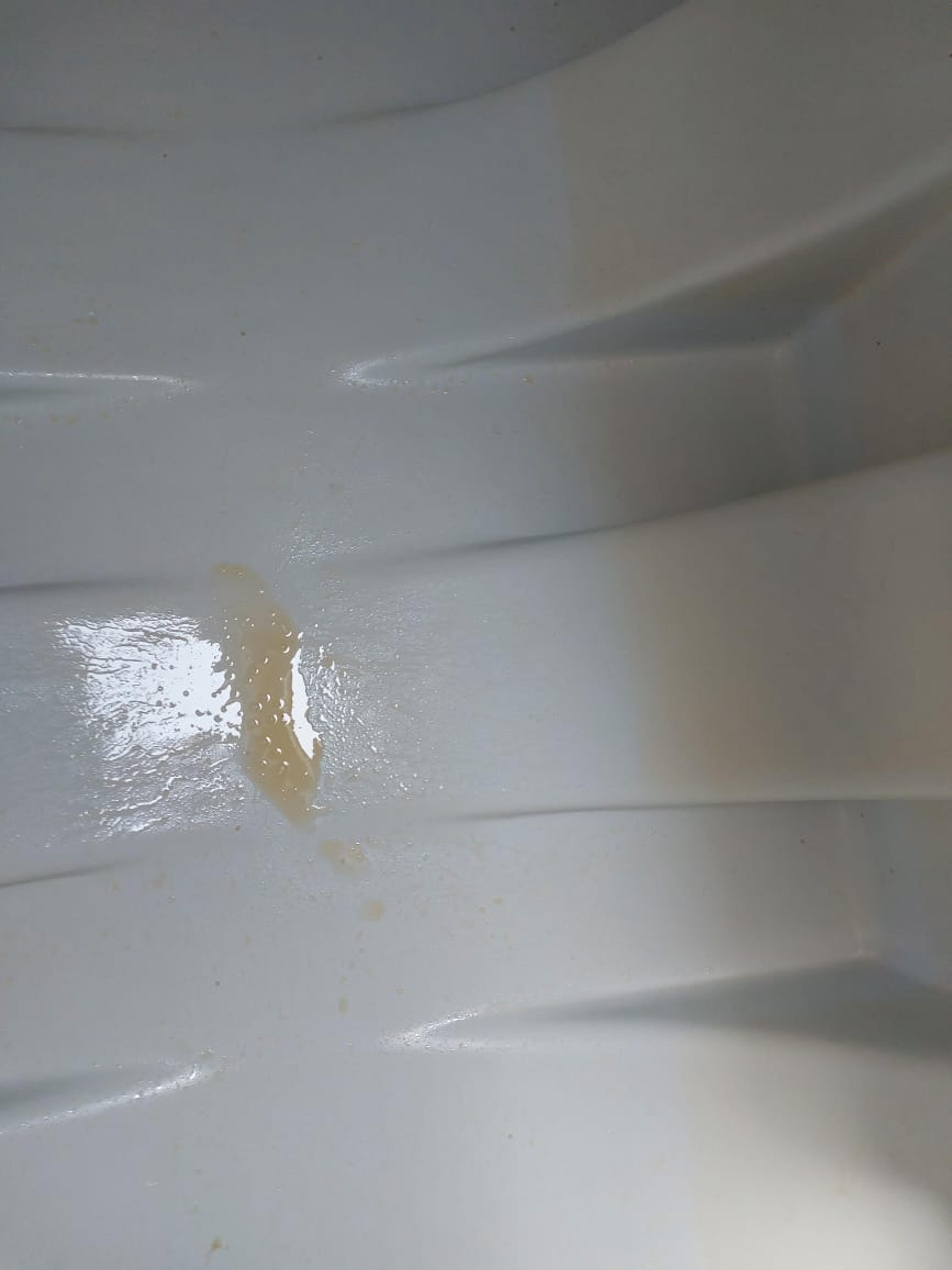 73913727-5d6f-4f43-acf8-cad43c1121c3.jpeg