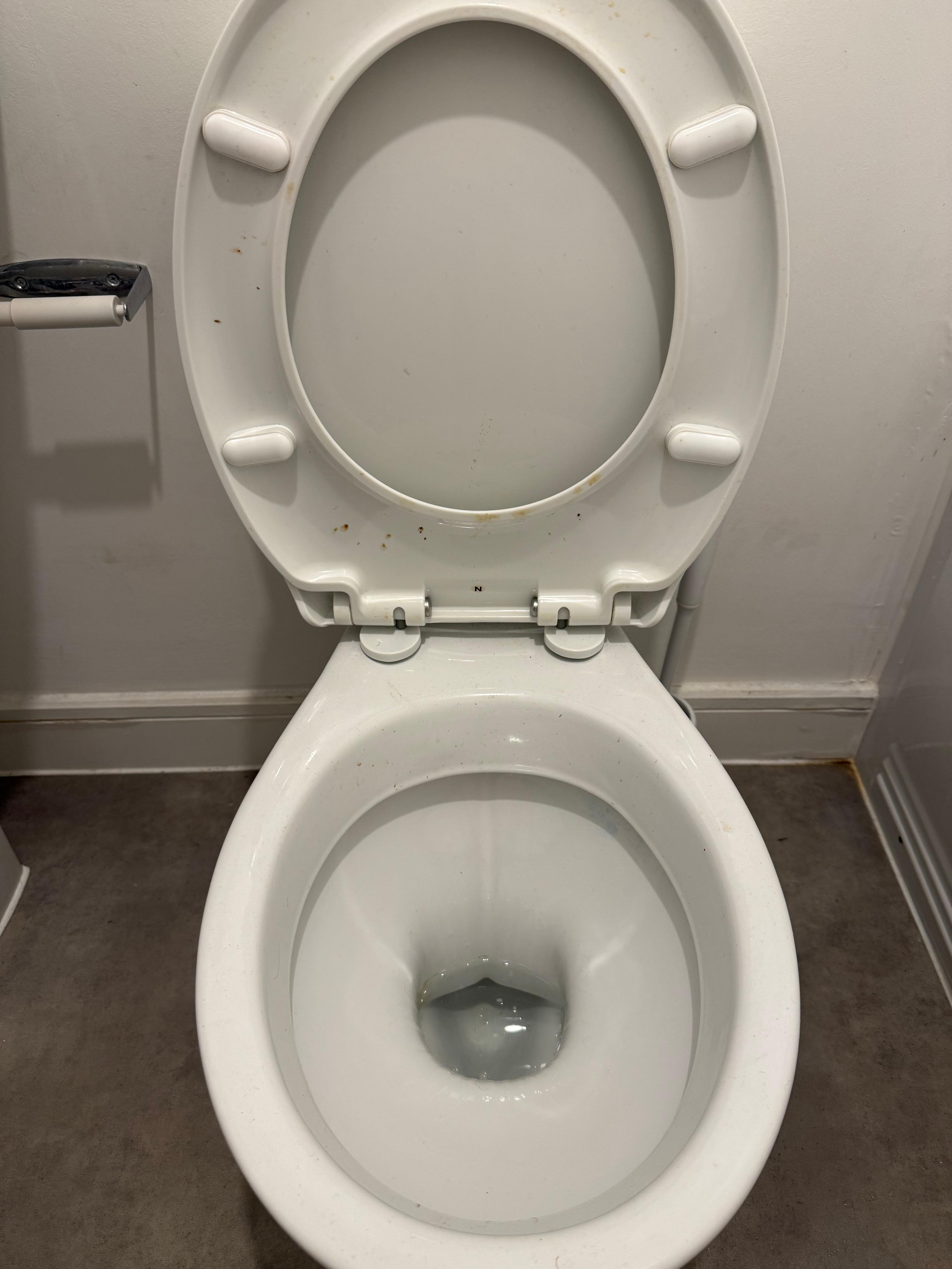7397068b-9e3e-46d1-aafb-c00aca4633e2.jpeg