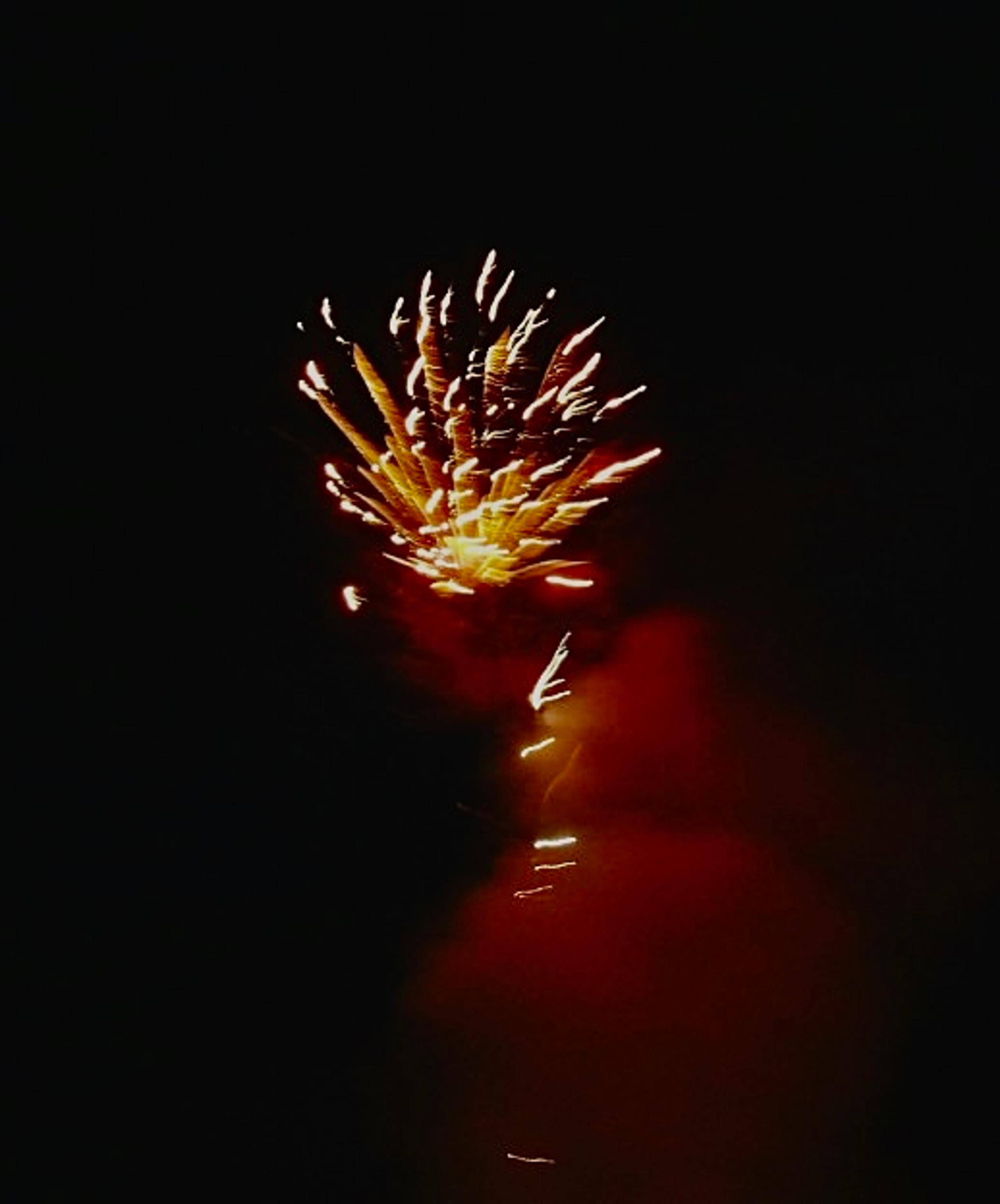 747084dc-4c1e-4cc4-b223-02b25cad9f37.jpeg