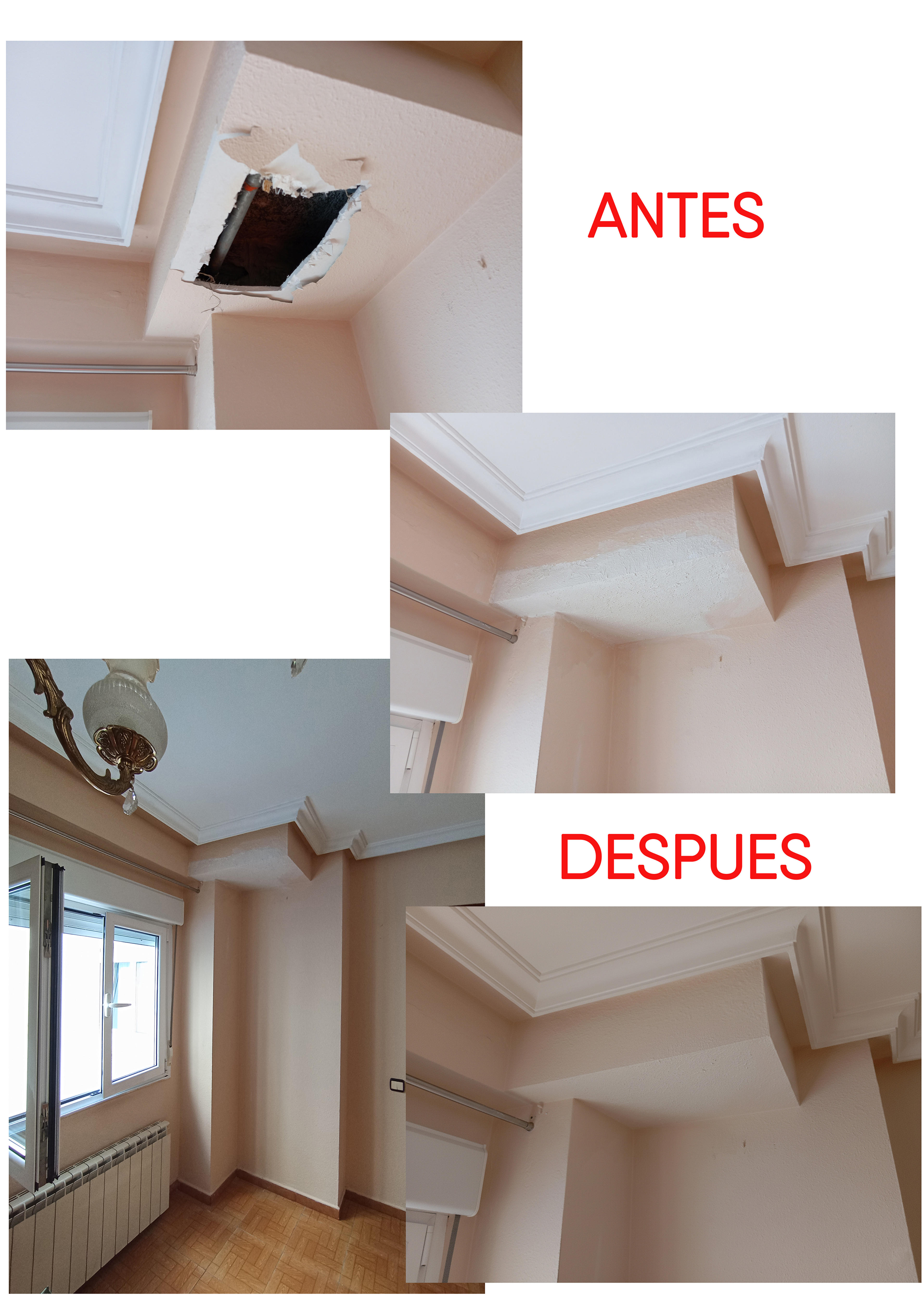 747bb32e-d8de-4199-b4f1-60f902d89b3c.jpeg