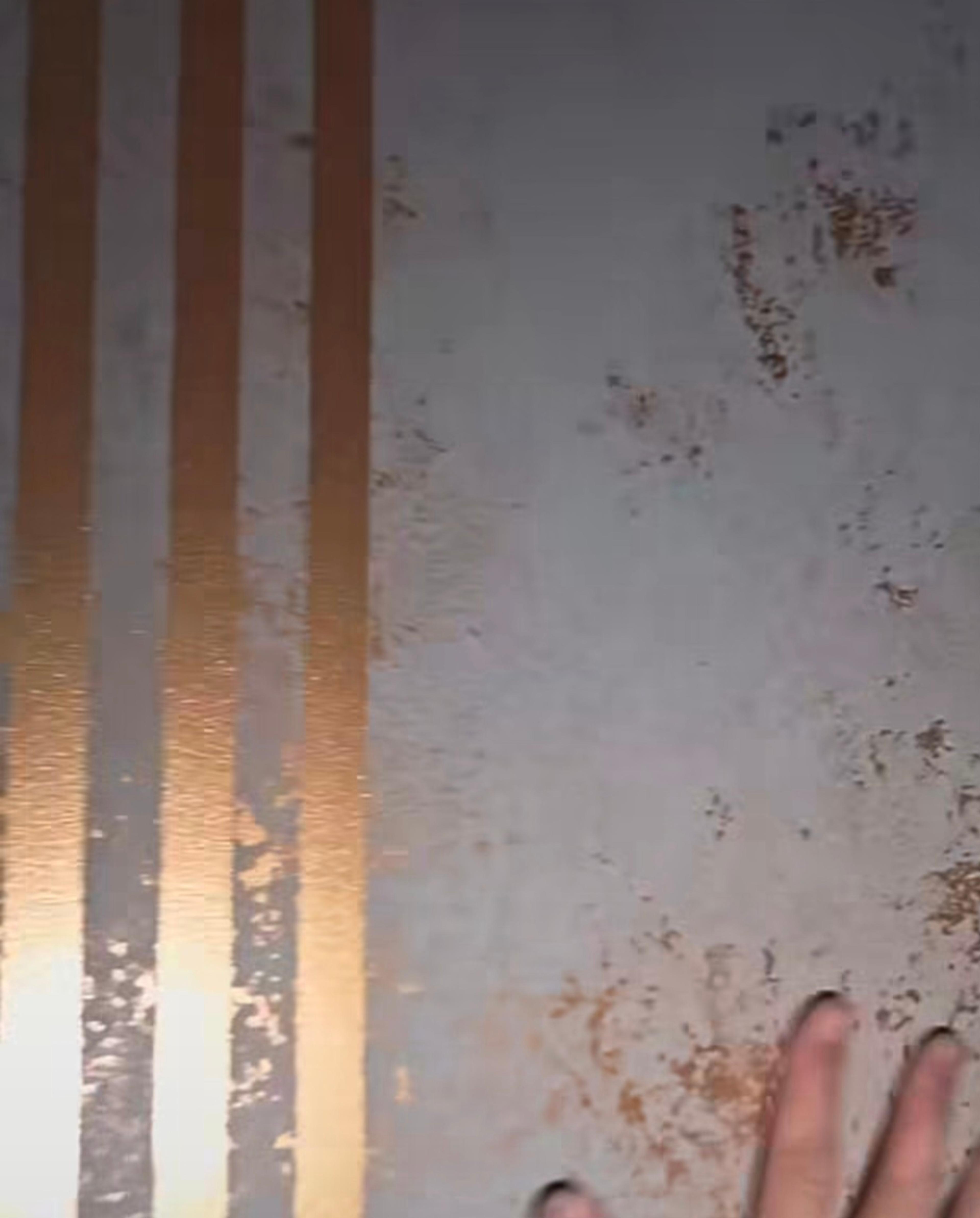 74b5caee-5f89-4f5c-8ddb-038167a6c4f5.jpeg