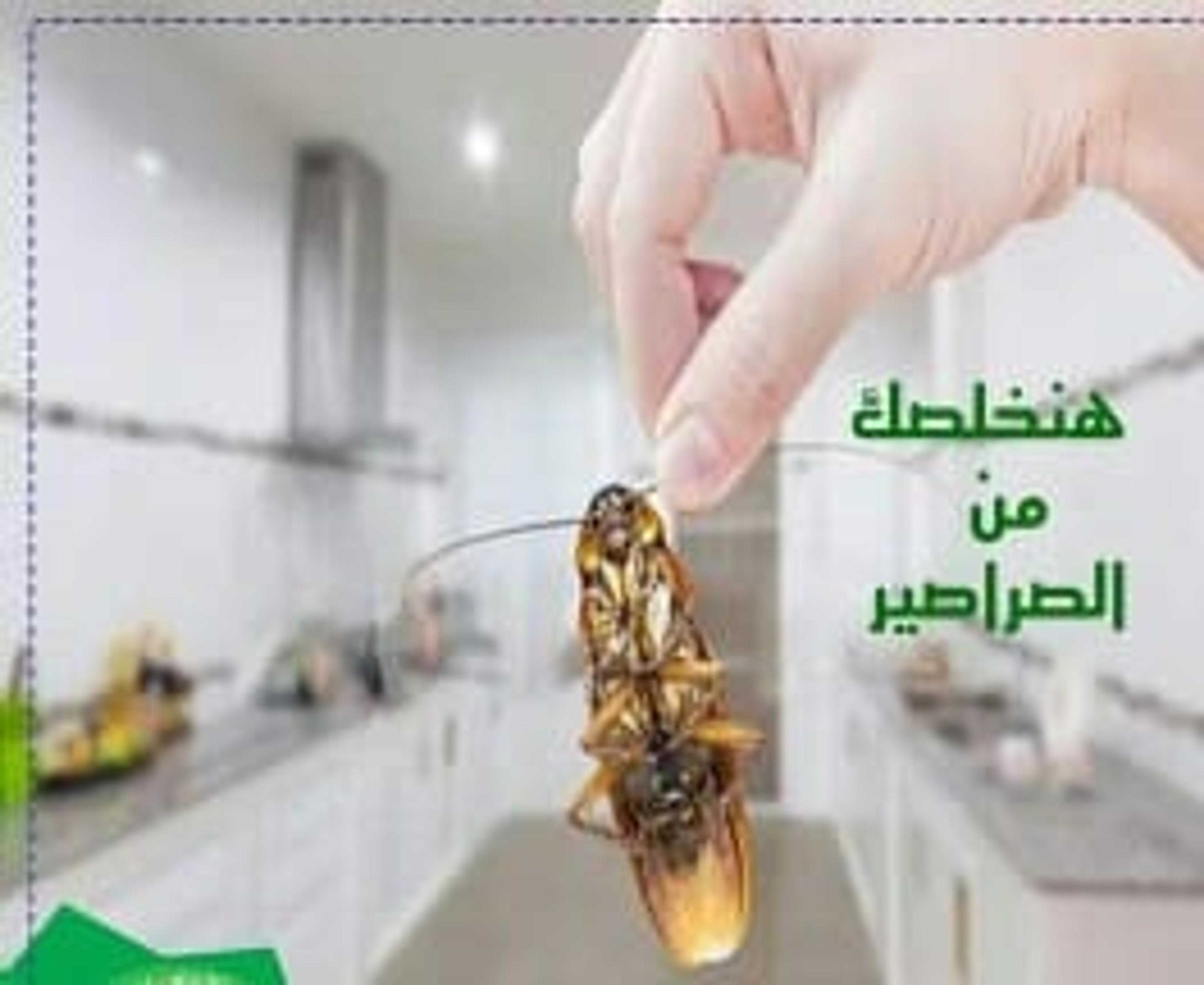 7534e07e-0d79-4f9d-a9b7-3368eabec5d3.jpeg