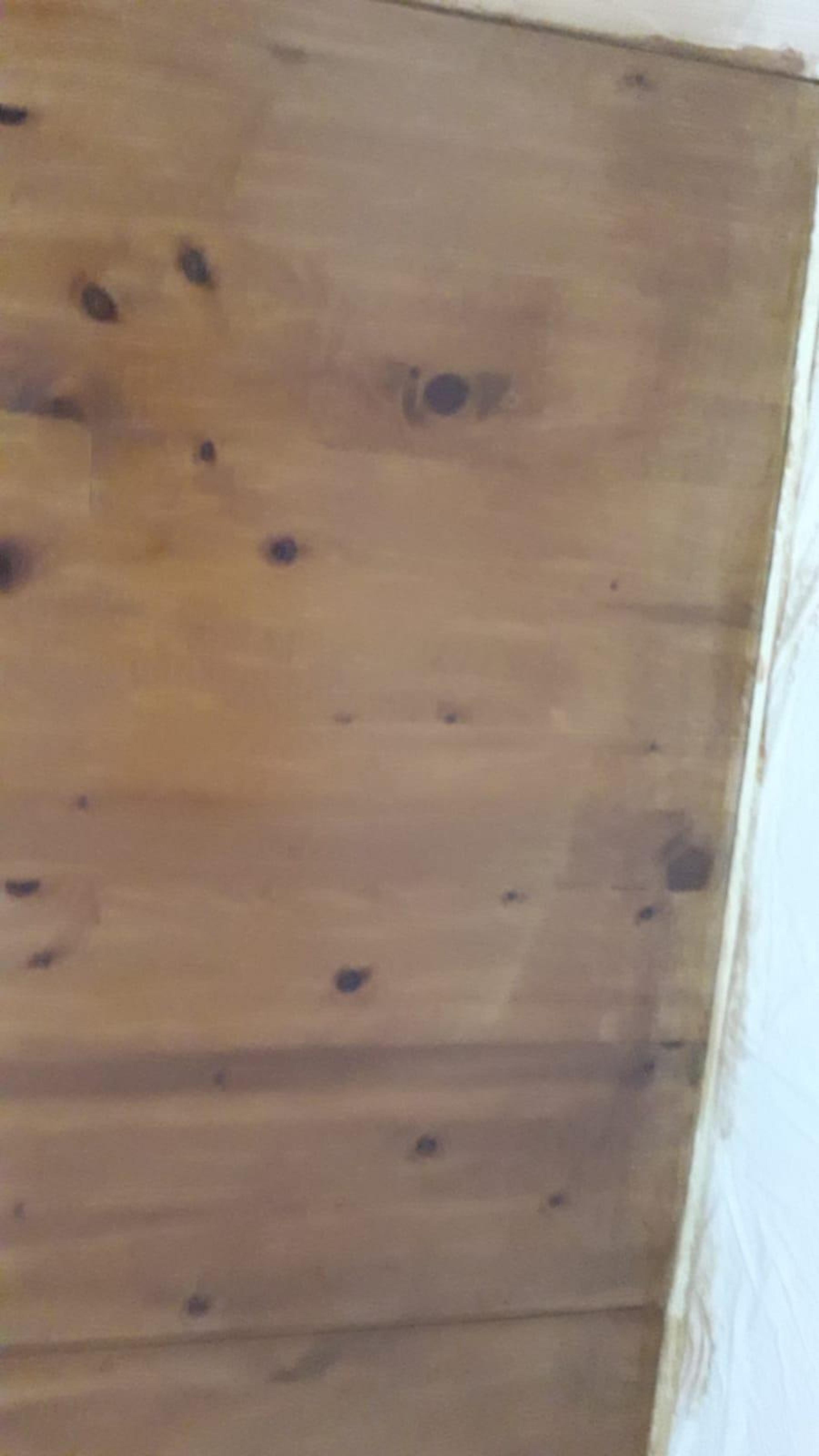 75554952-06cf-46cd-bc06-686f077bb345.jpeg