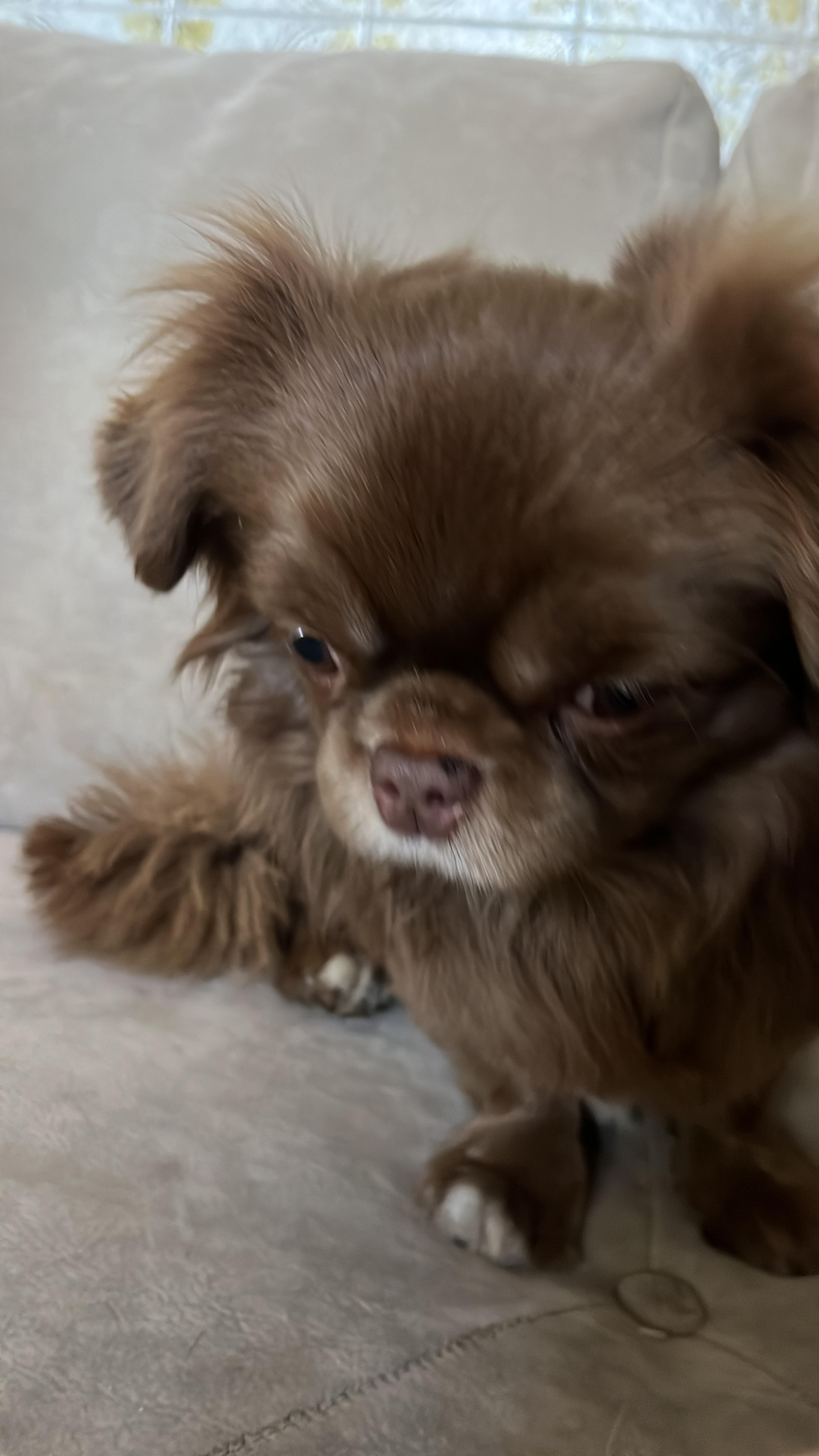 75f0827e-e190-47b1-9014-6afaff3d49f2.jpeg