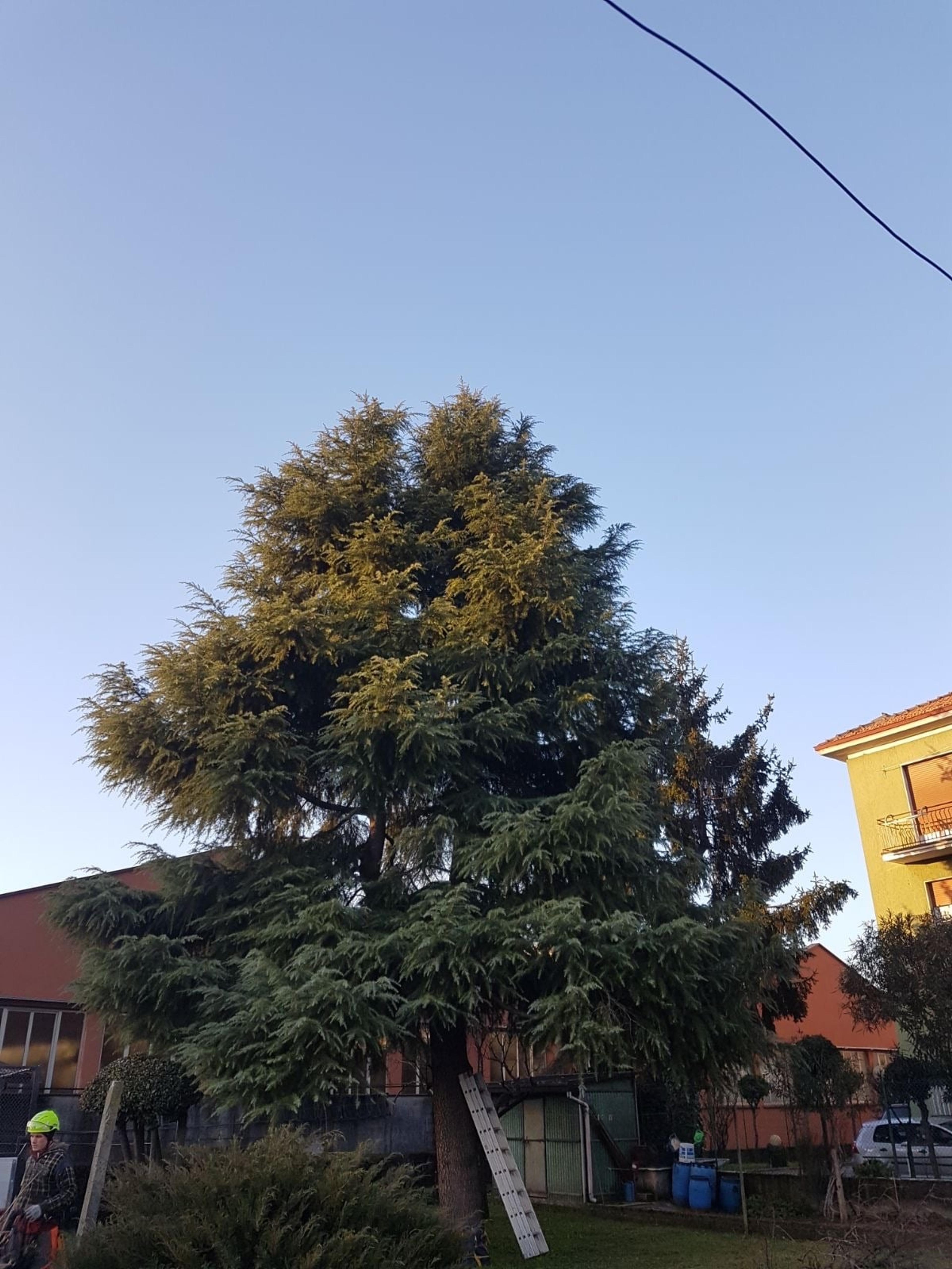 760cd05e-302c-420d-a834-e40eaf158046.jpeg