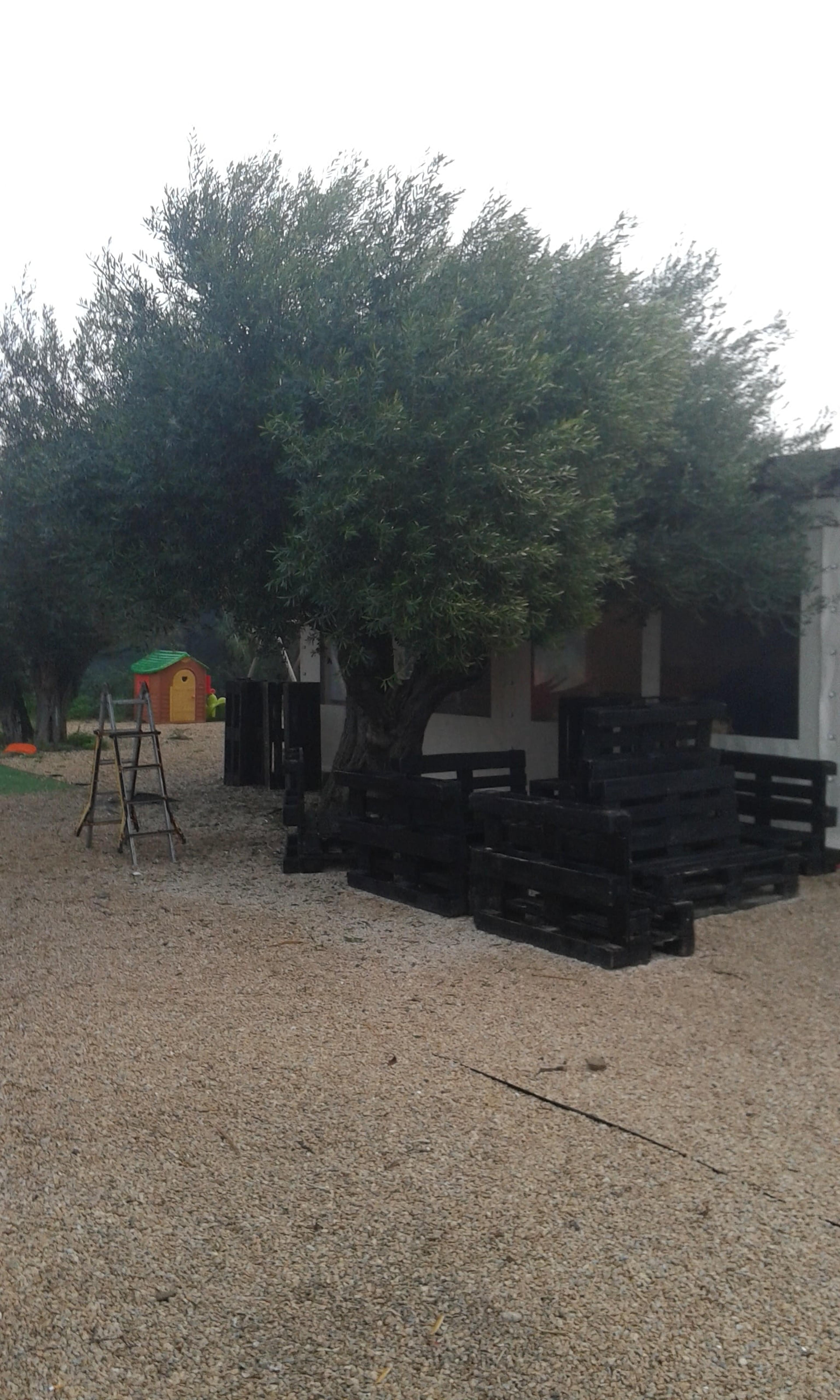 7779f0d8-cfa7-436d-abfc-a24290f50443.jpeg