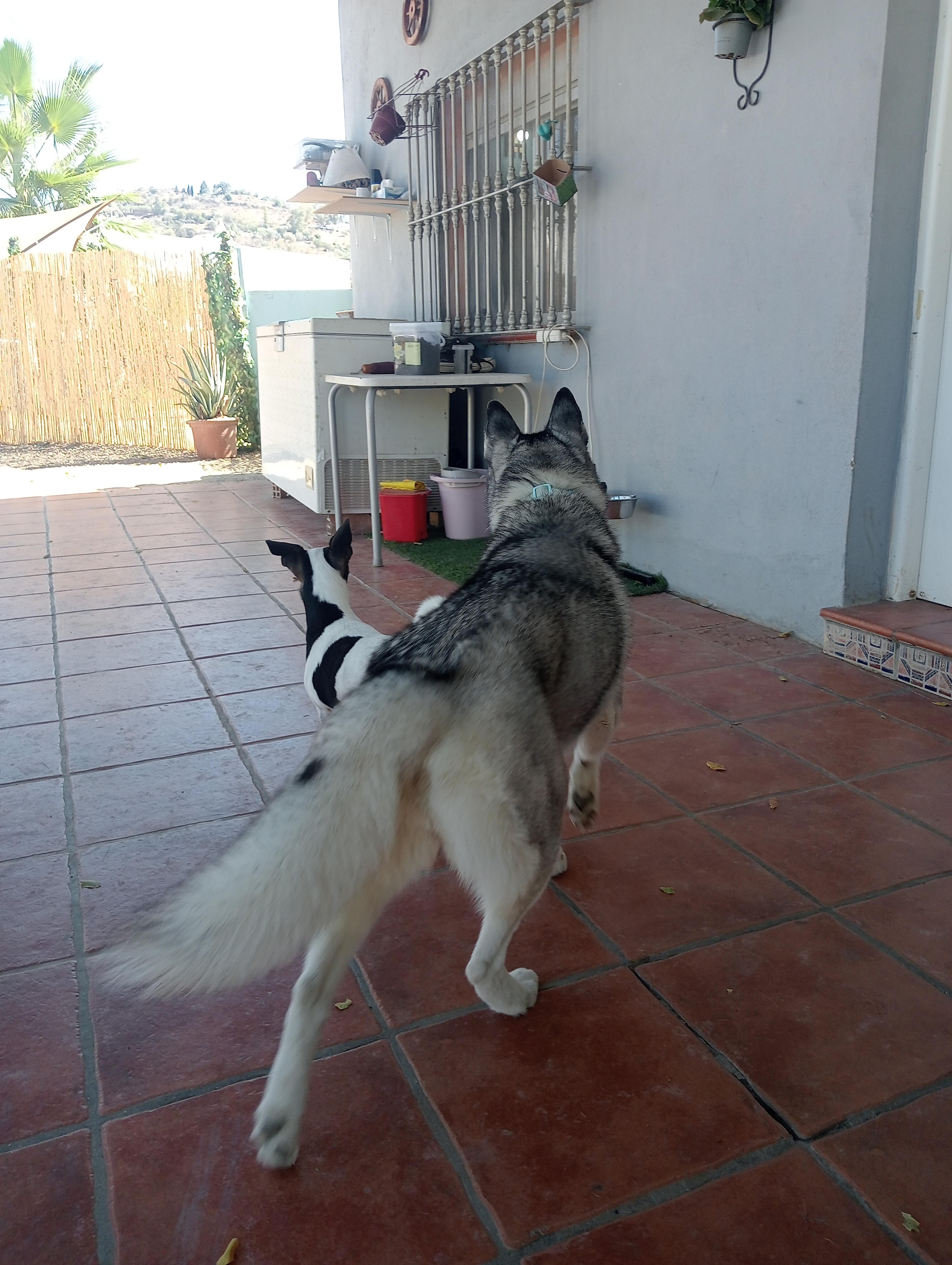 77930370-dbcd-4f21-be49-a0e94144f454.jpeg