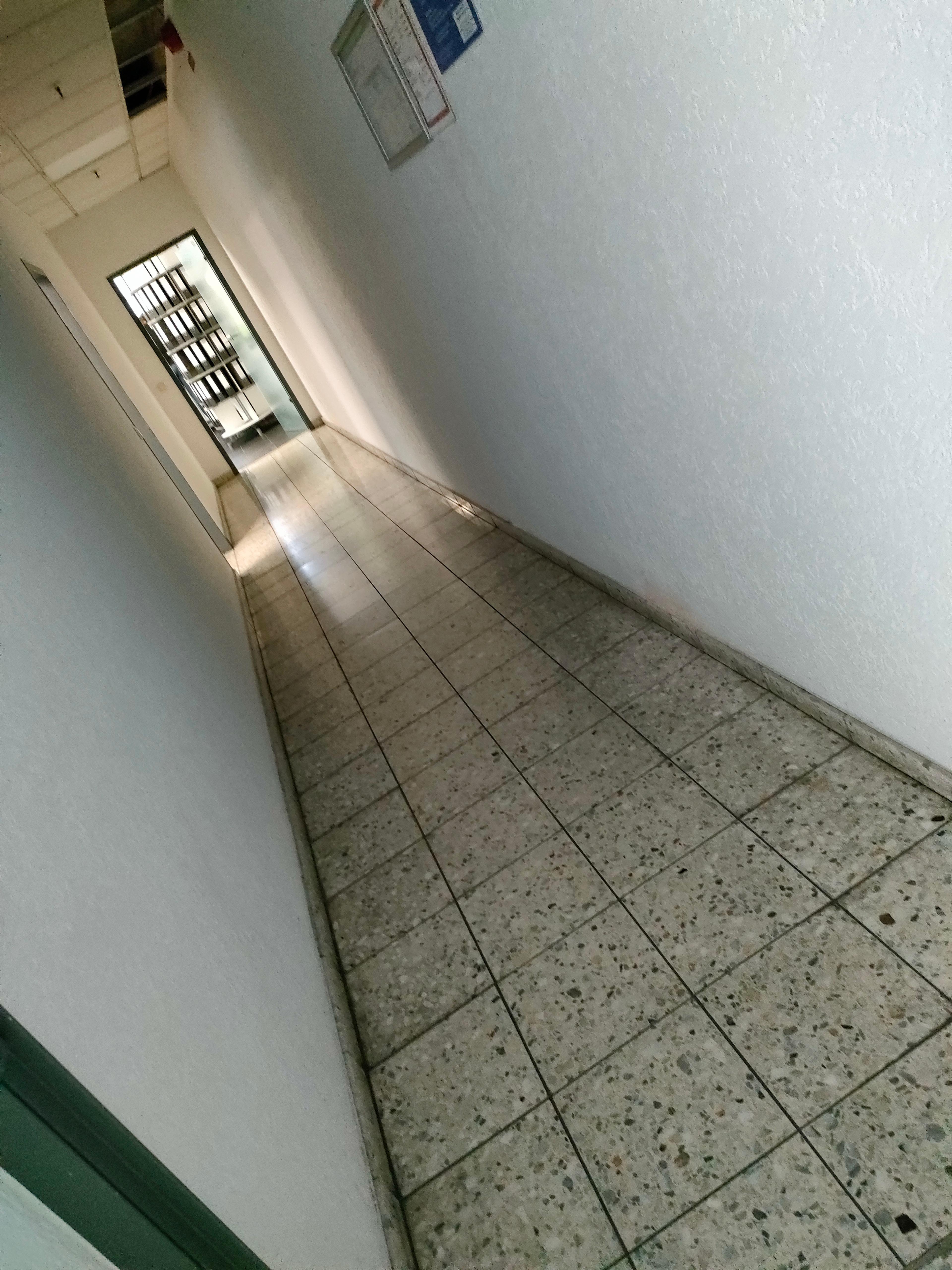 77d08482-1db5-4e0e-aeb1-6056cafac0cf.jpeg