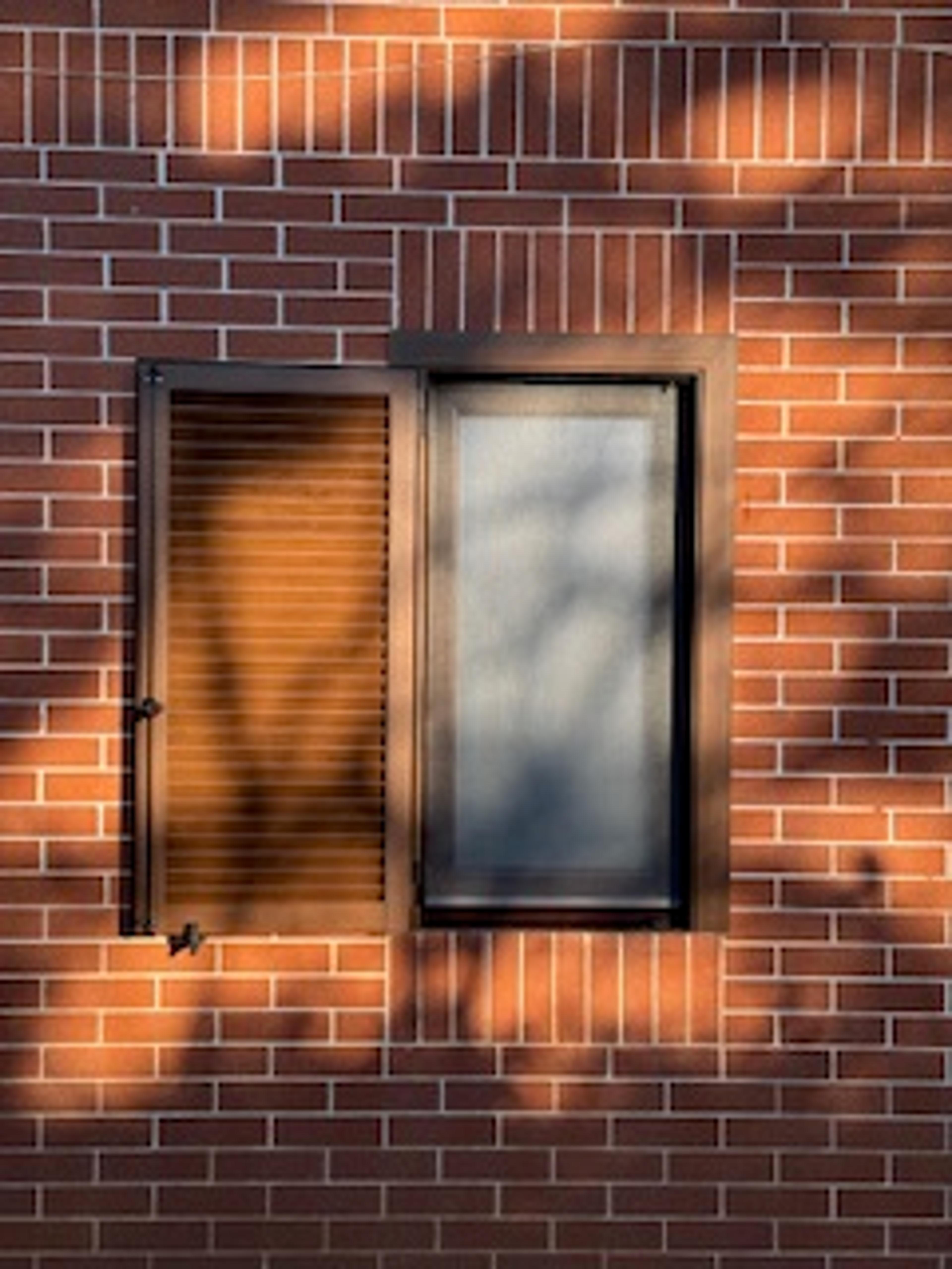 781dda2f-5018-4800-80ae-a36d0faf9b69.jpeg
