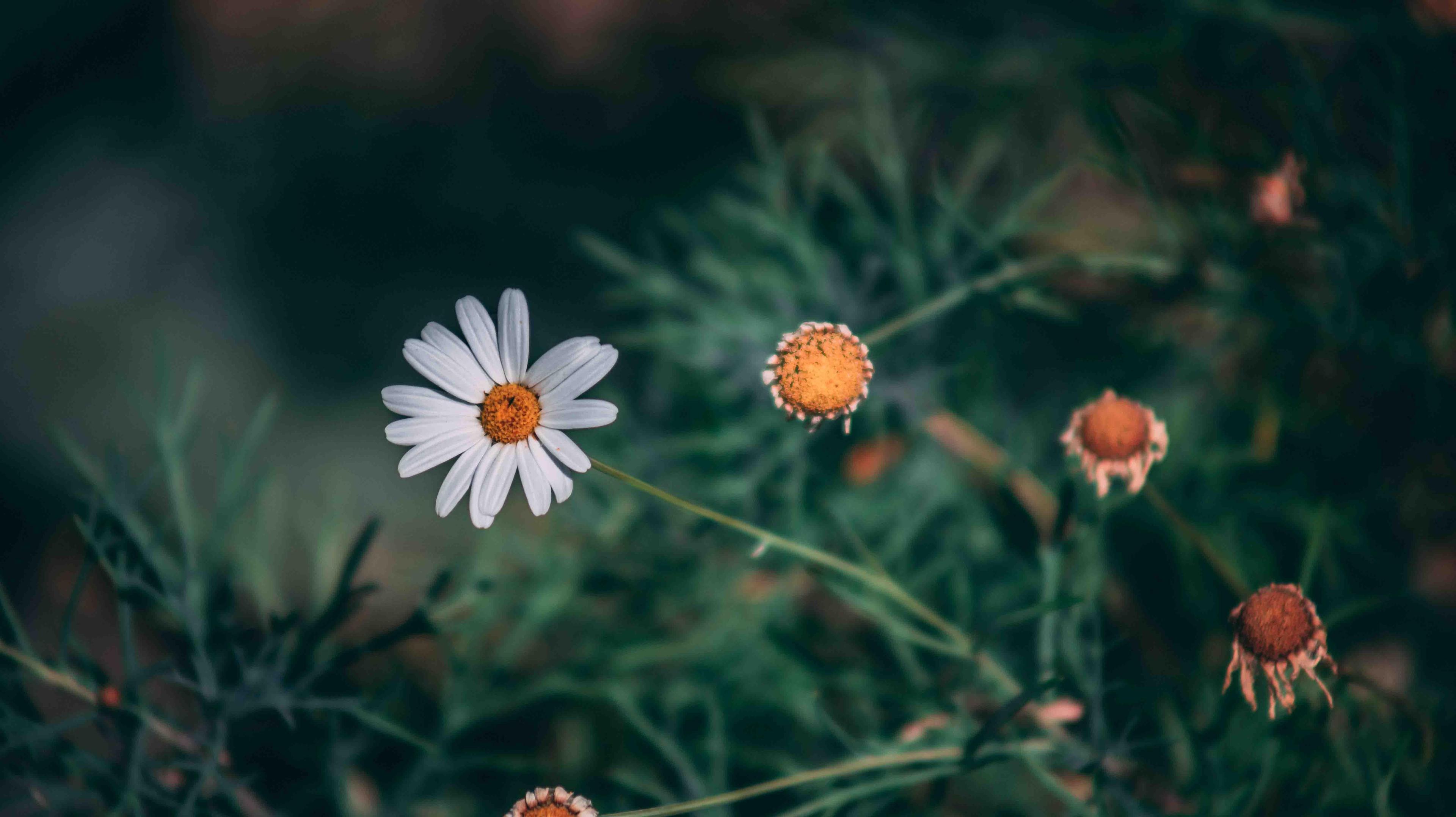 7820cb4c-e702-4d99-aa05-ac6987b0d6f6.jpeg