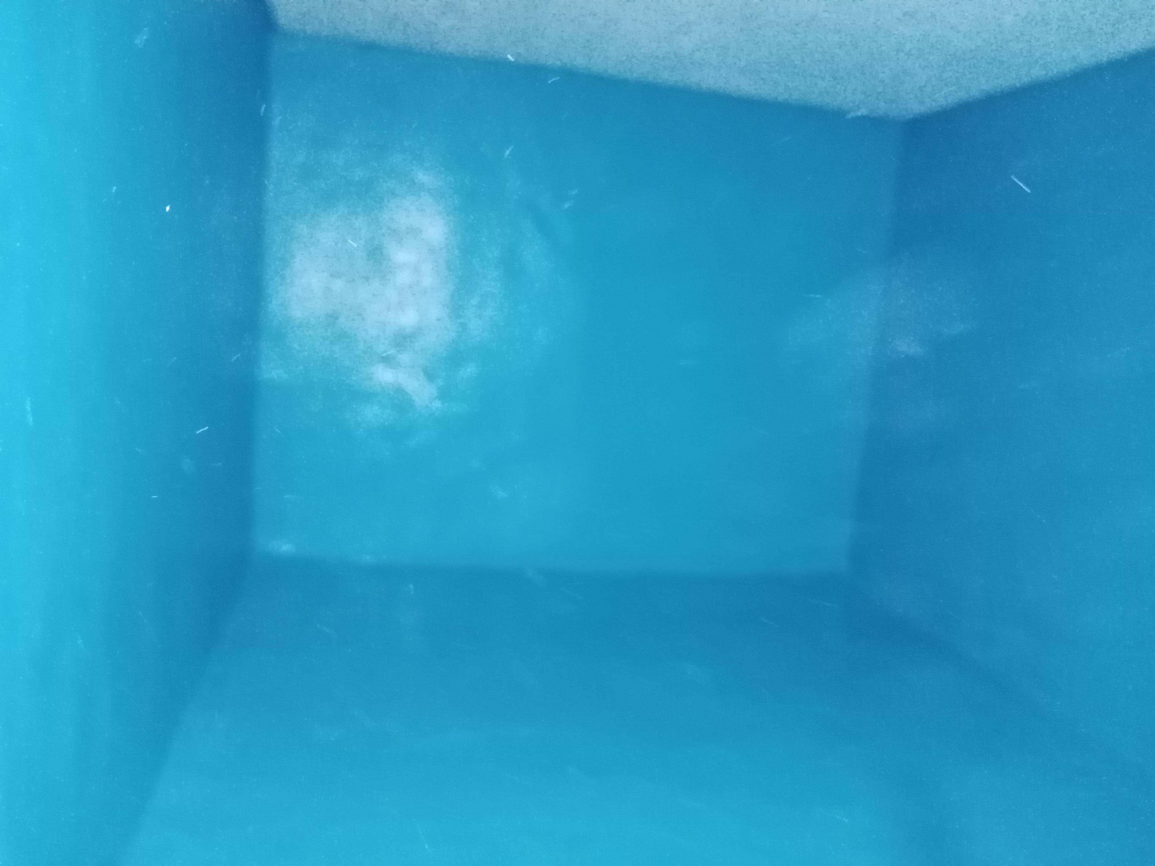 78df30ad-8944-421c-842c-fd4fe09e730b.jpeg