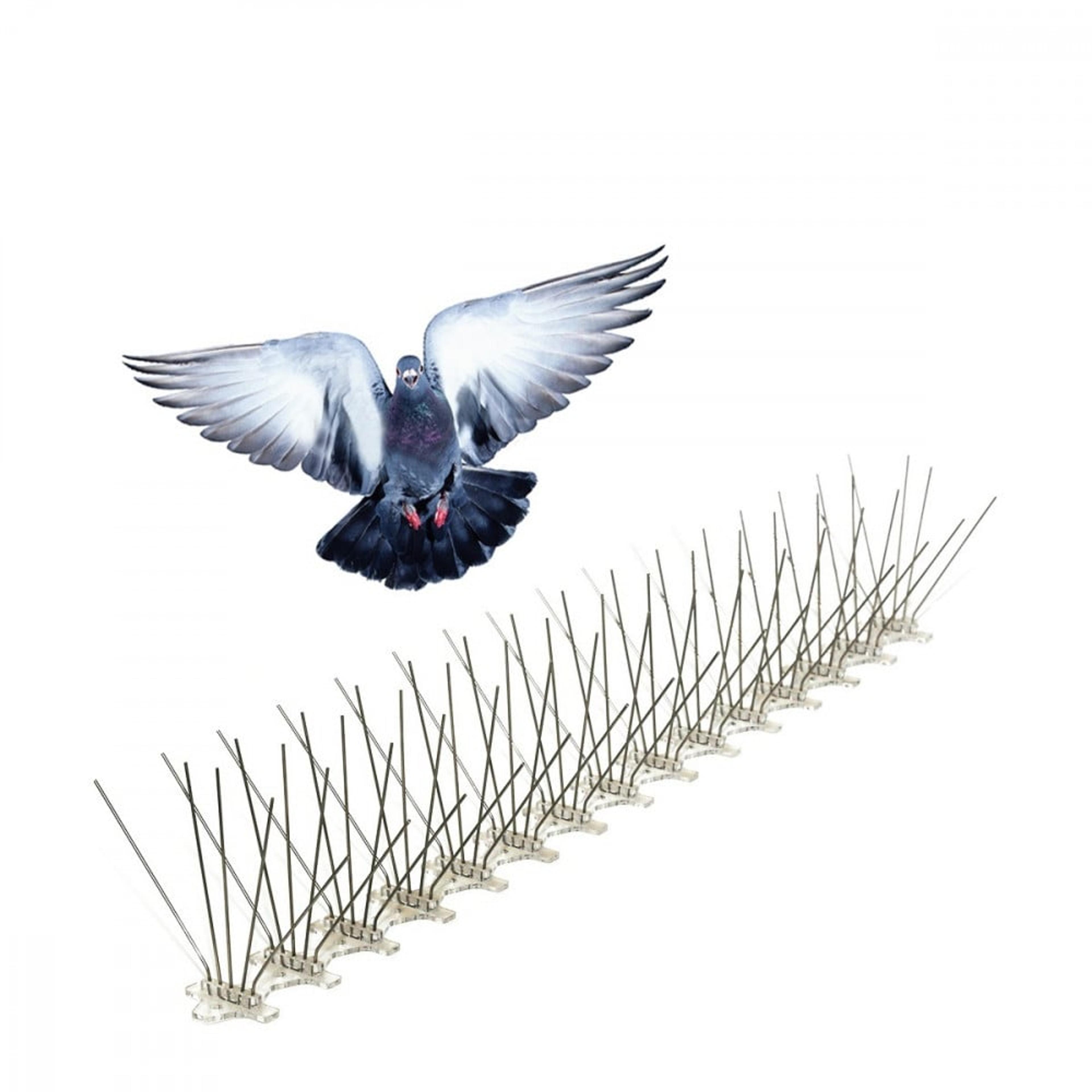78f0ad27-e0e6-4678-86b5-2e7817bb0102.jpeg