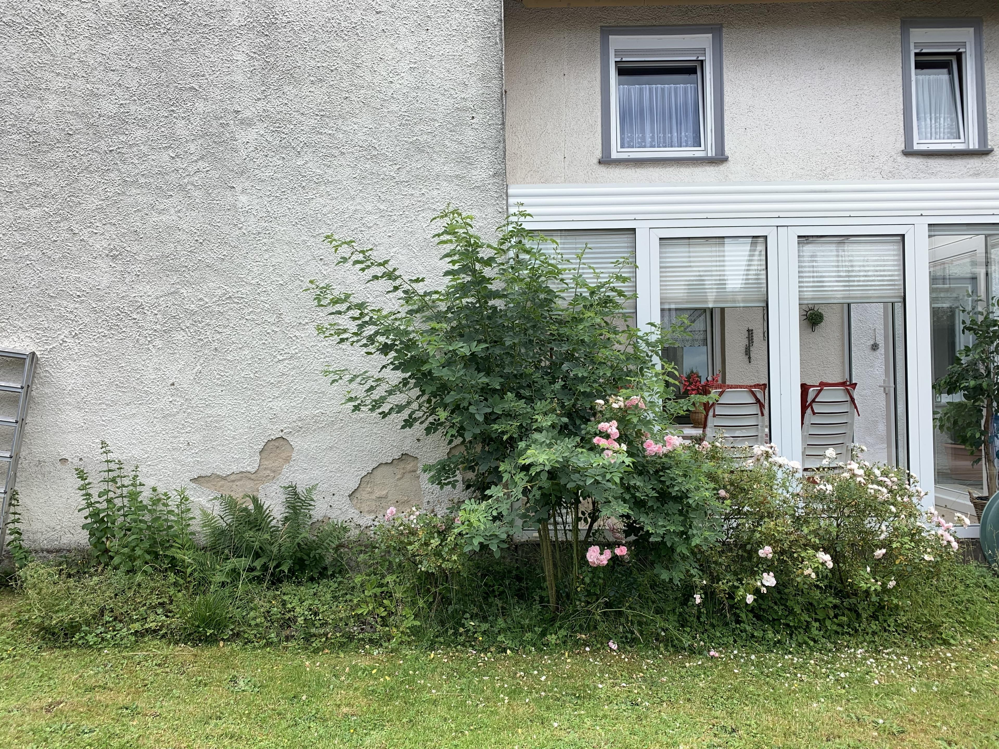 797b1938-ee92-4d5d-a0ce-424e9cc26a96.jpeg