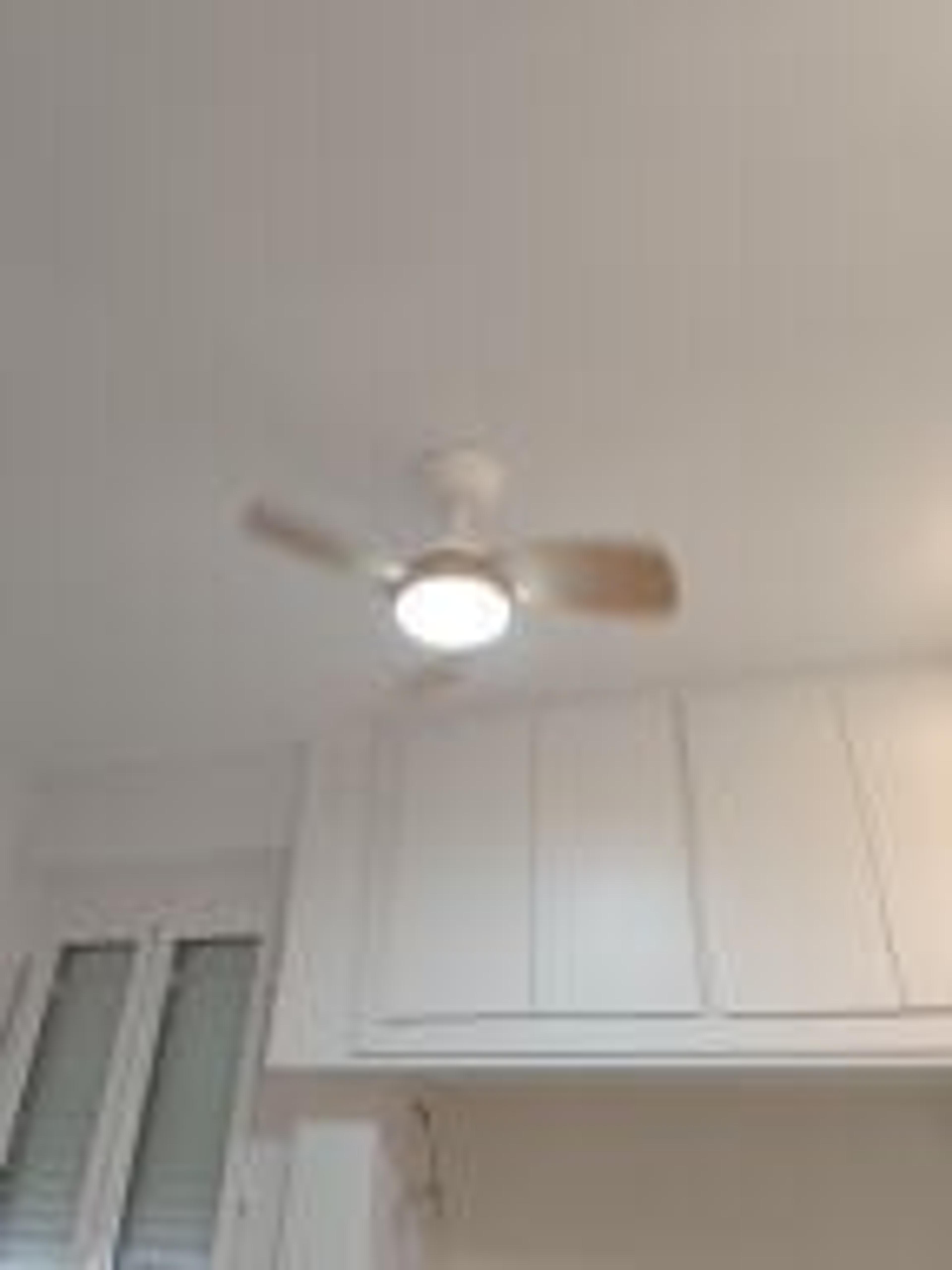 799d0be9-462f-42cc-88ac-4f3652eaa3ec.jpeg