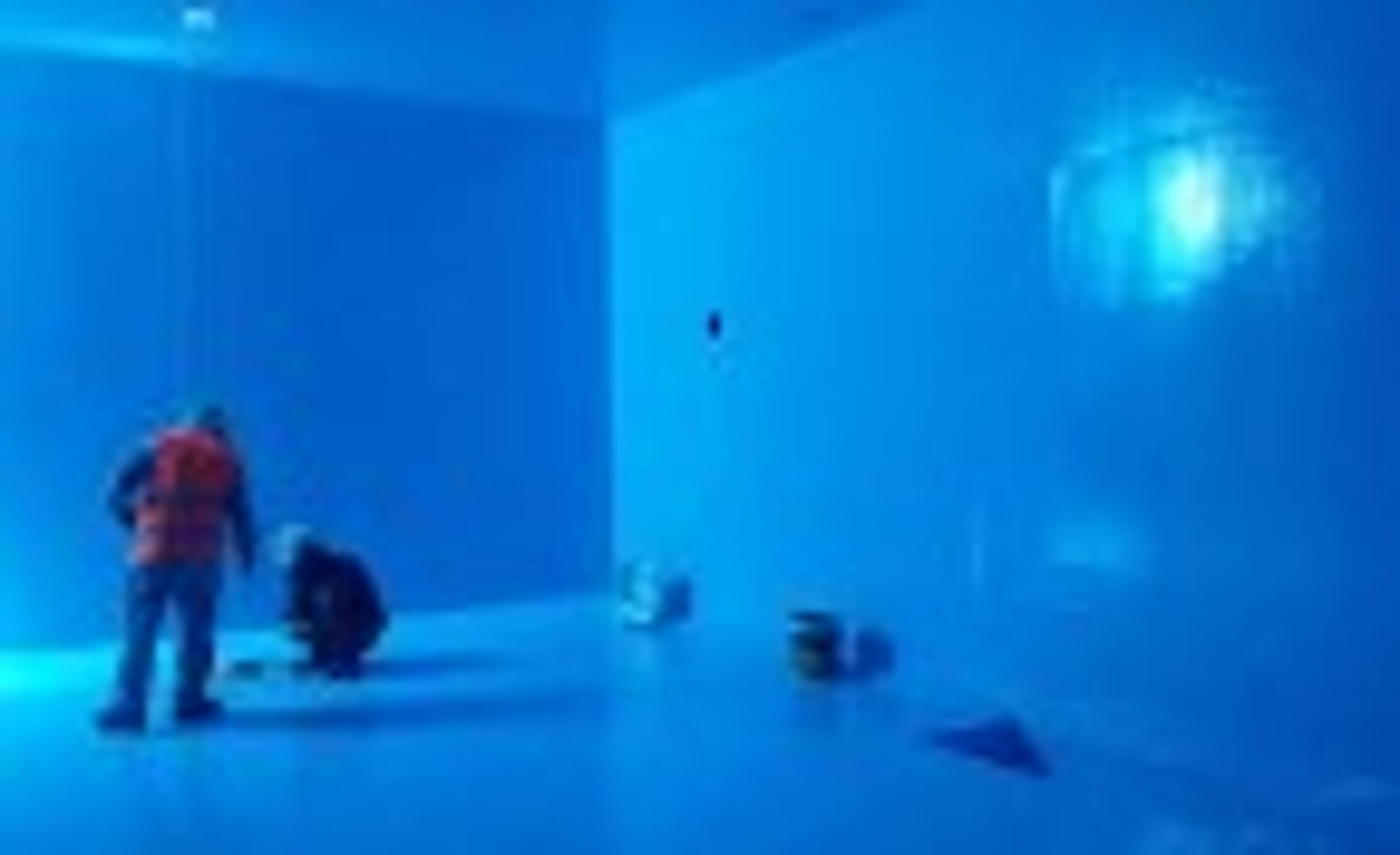 79f5e172-7e4c-4811-84f1-33722cbb75a4.jpeg
