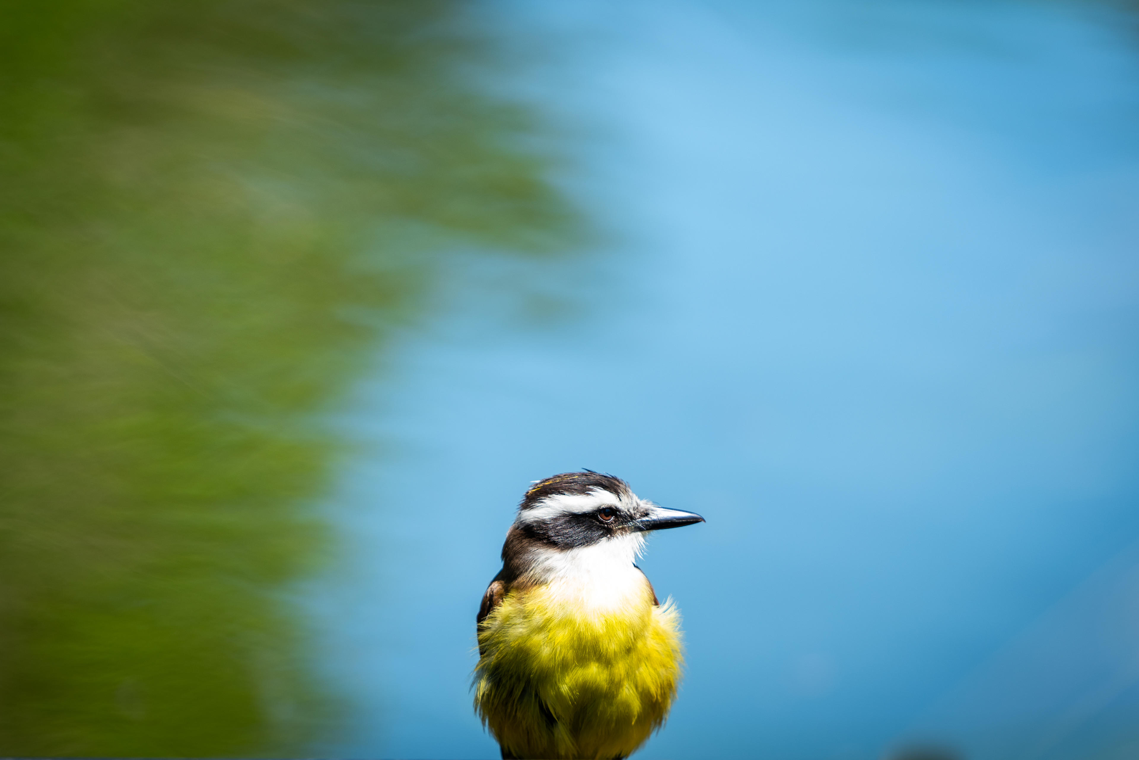 7a49e73b-f2d1-4852-9f73-59b4aefb8da8.jpeg