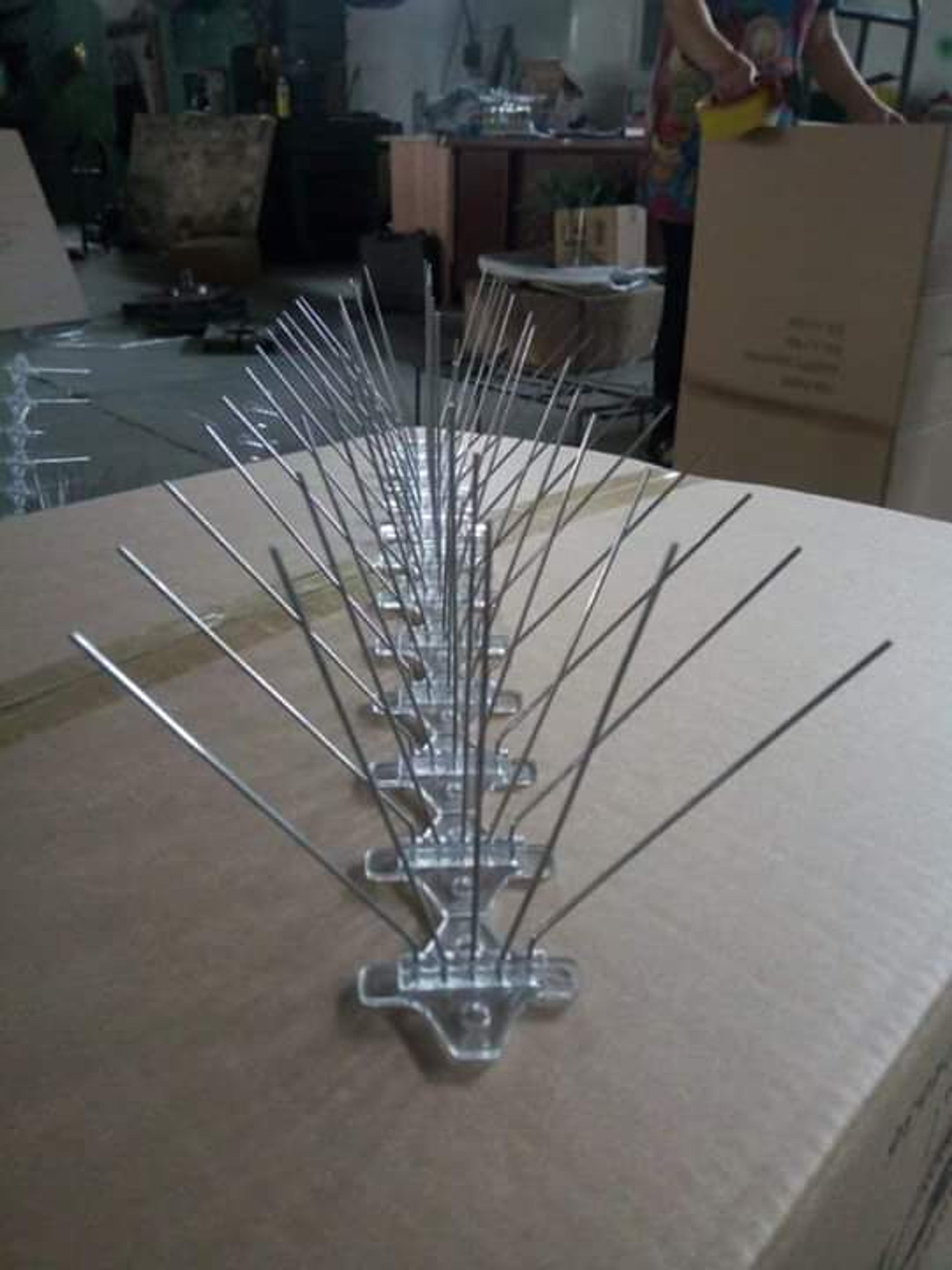 7ac25e3d-5cc2-436c-b7ed-06e19a4ba1d4.jpeg