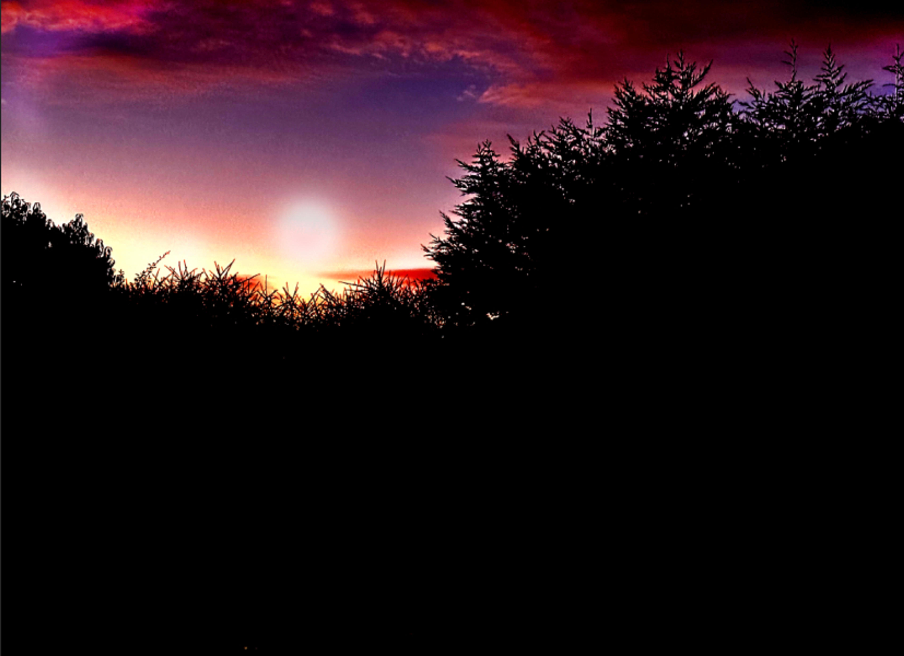 7bc09994-0610-4823-a7ed-3b7a1a5cb354.jpeg