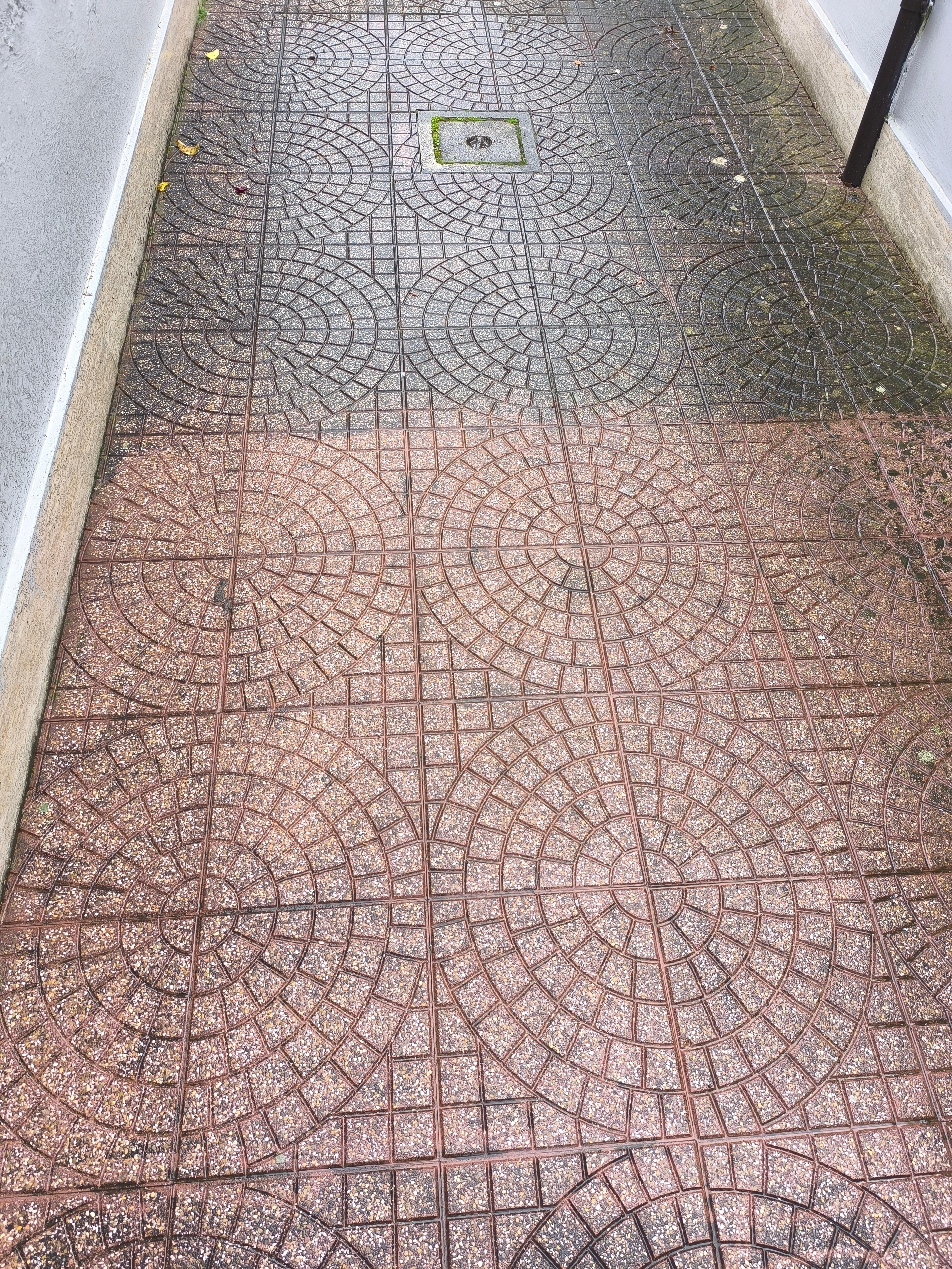7ca07628-c11a-4040-8d0c-7e2dc9e9f83d.jpeg