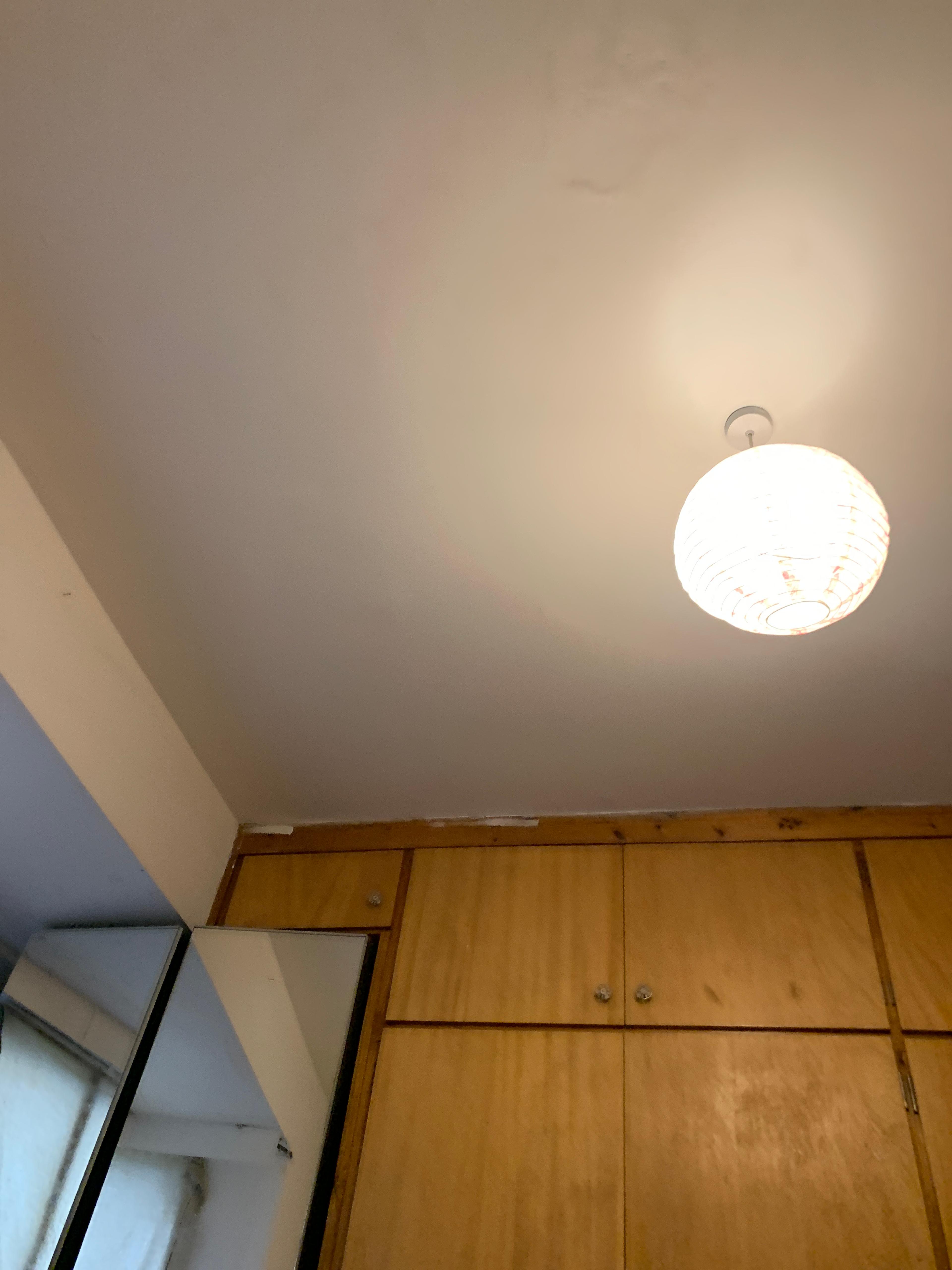 7cad75ab-831e-4e06-8a17-a5678d8787f9.jpeg