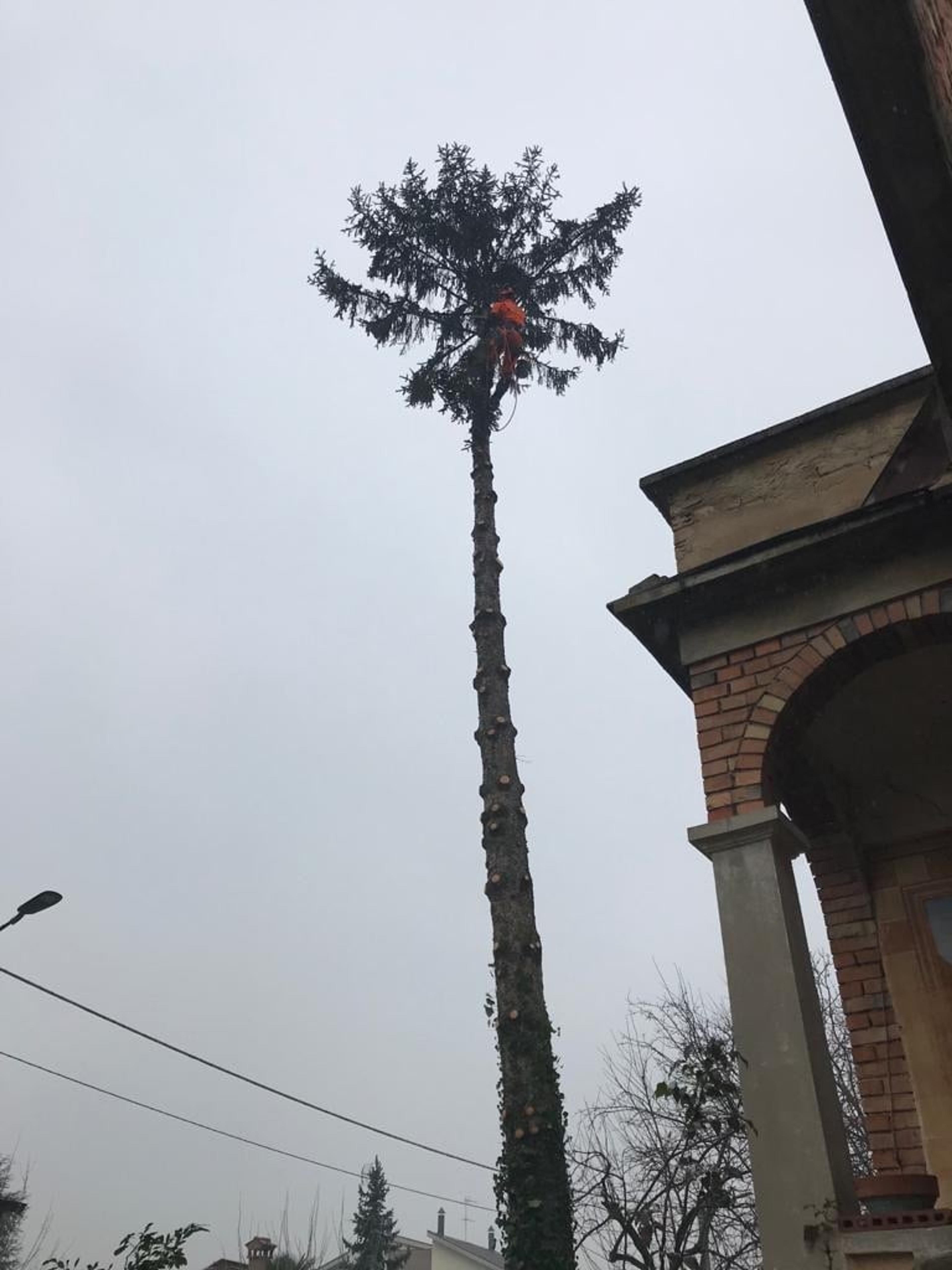 7d17ebfe-de4d-4493-8d66-b9feb7bd1c1c.jpeg