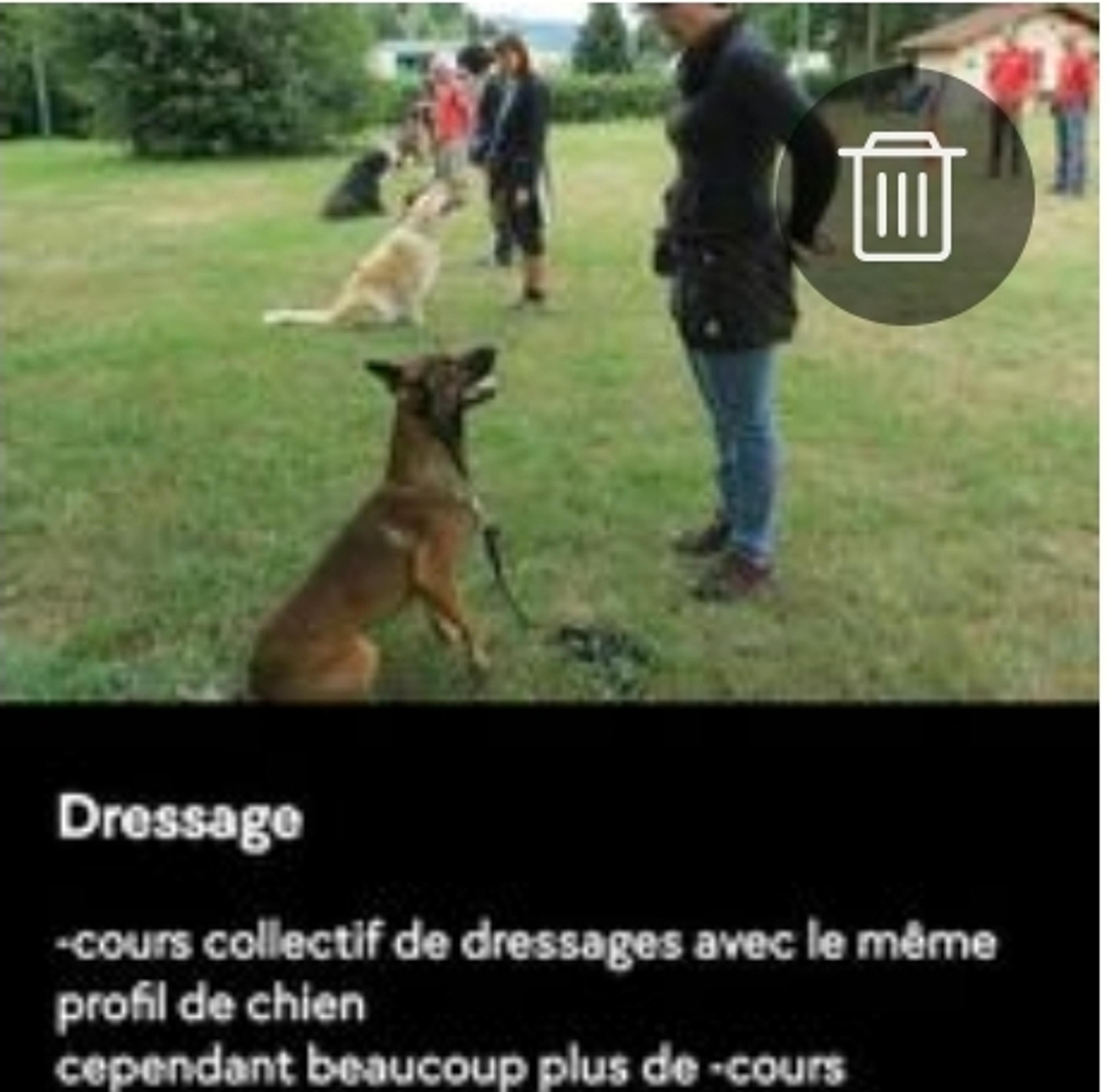 7d2dfa43-a81f-4fca-8360-3c9900acbfbe.jpeg