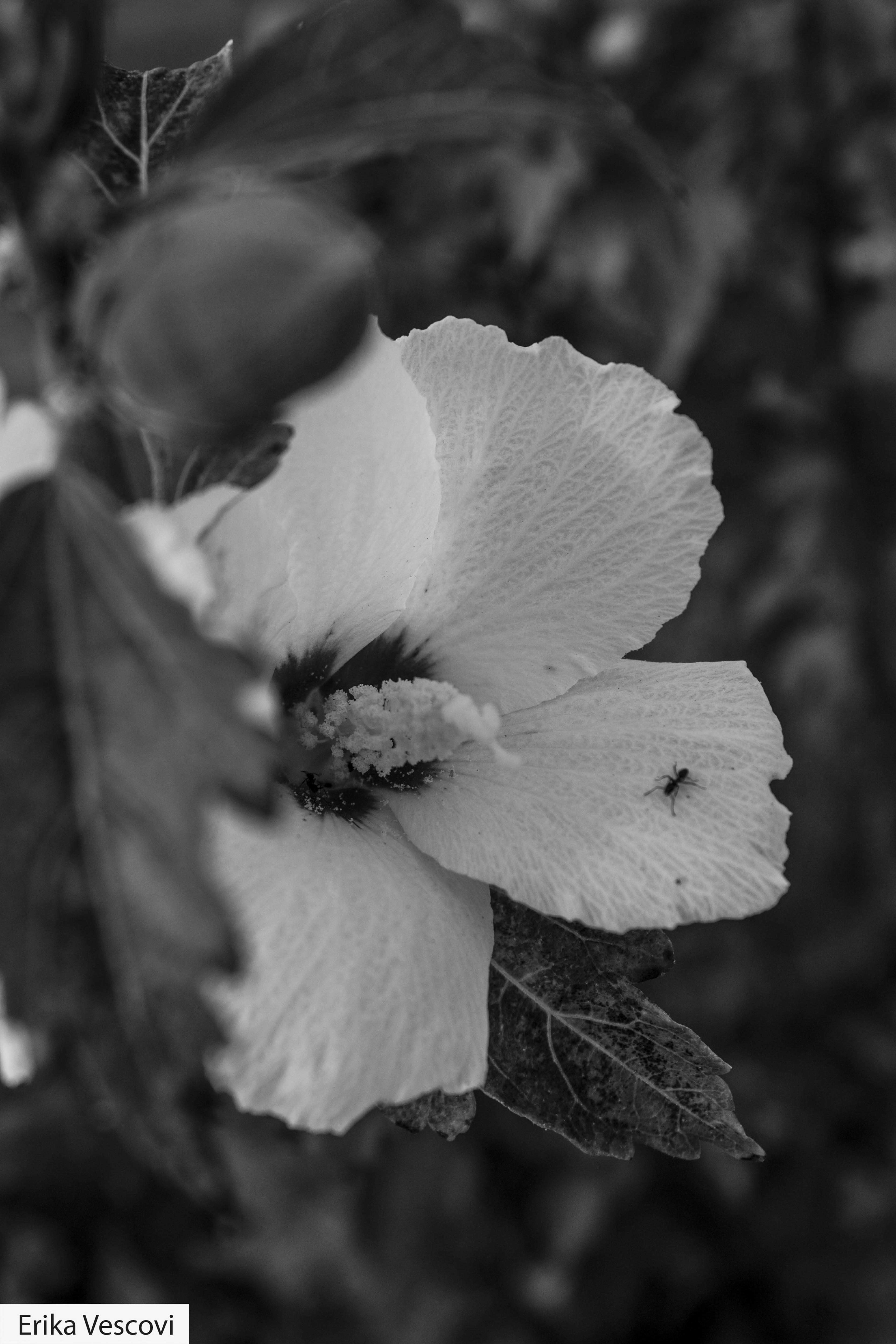7d58111f-9eb0-4312-acb3-78152c225f02.jpeg
