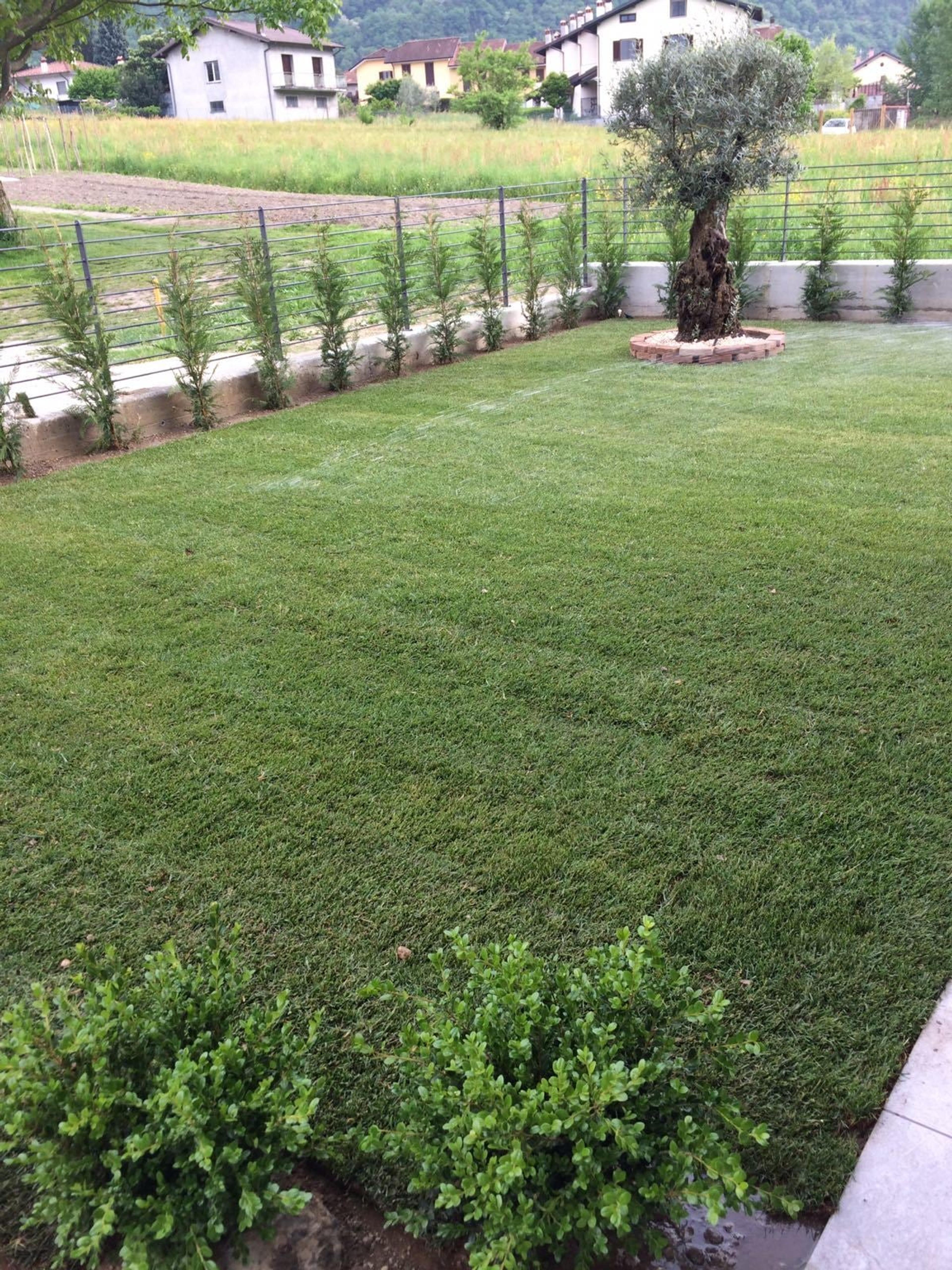 7d885e51-11f3-4154-bf74-fdd57c352336.jpeg
