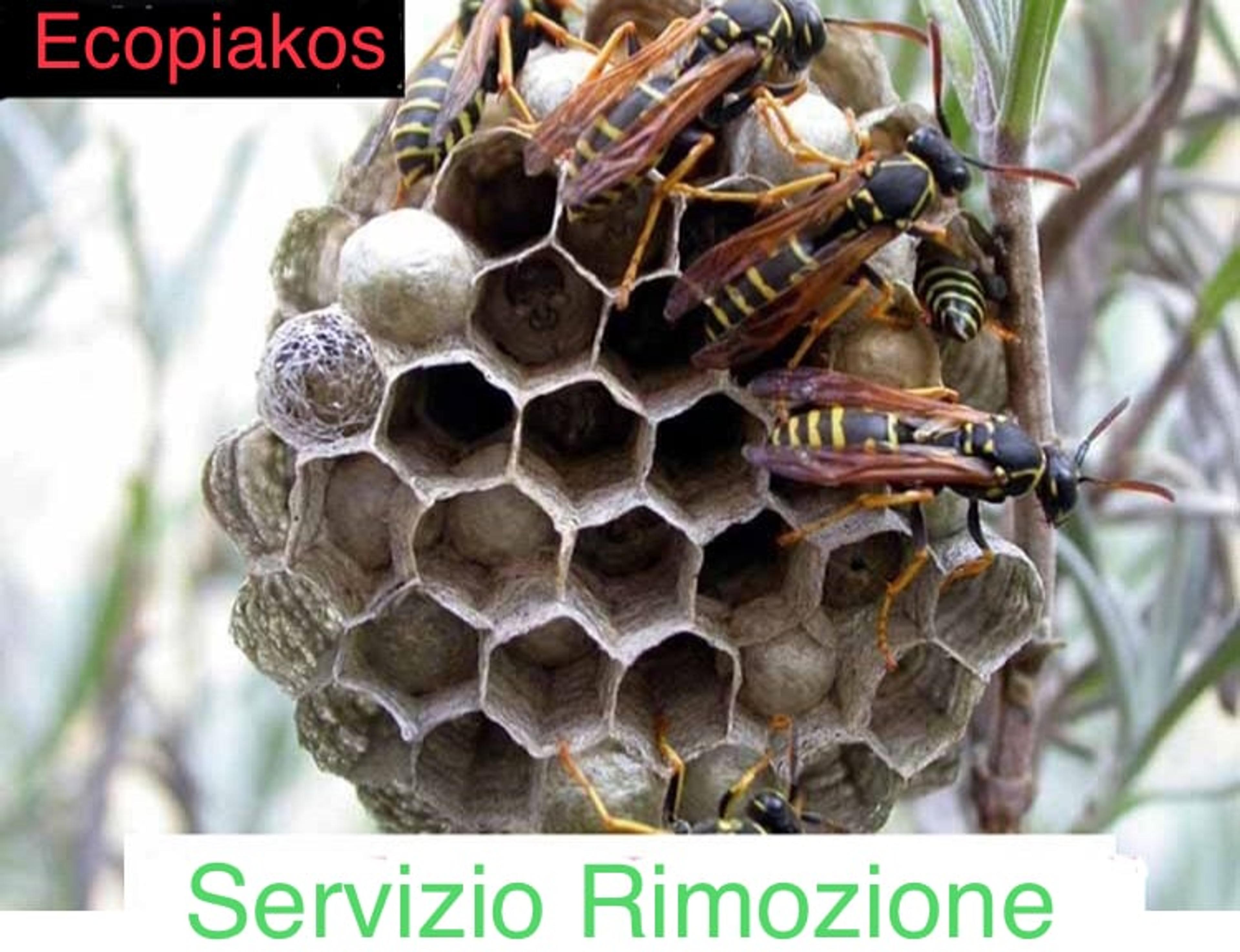 7defc67a-b939-4f03-8213-99ab78bcd943.jpeg