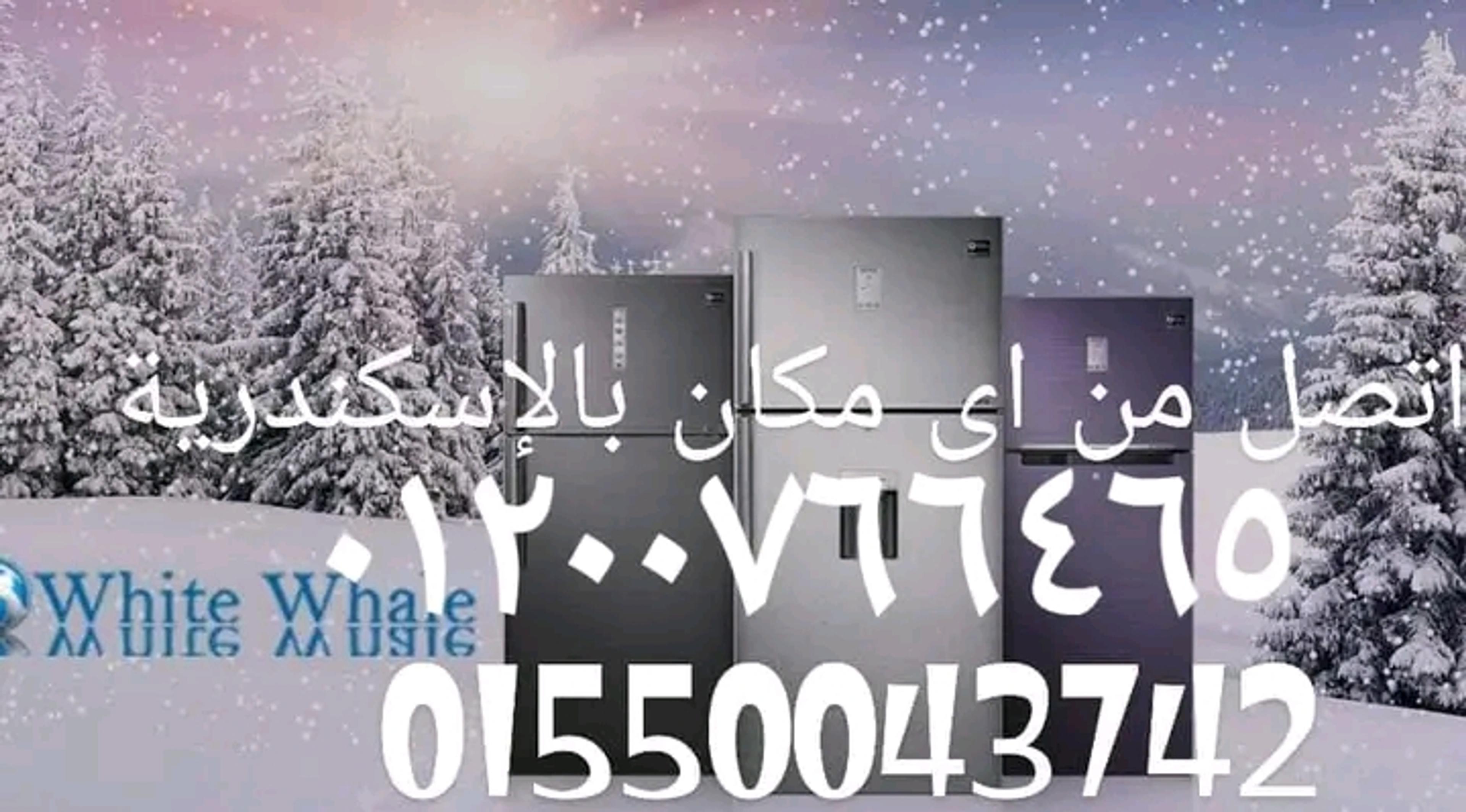 7e19eff0-d4a9-4052-8571-cc5edeb0c49d.jpeg