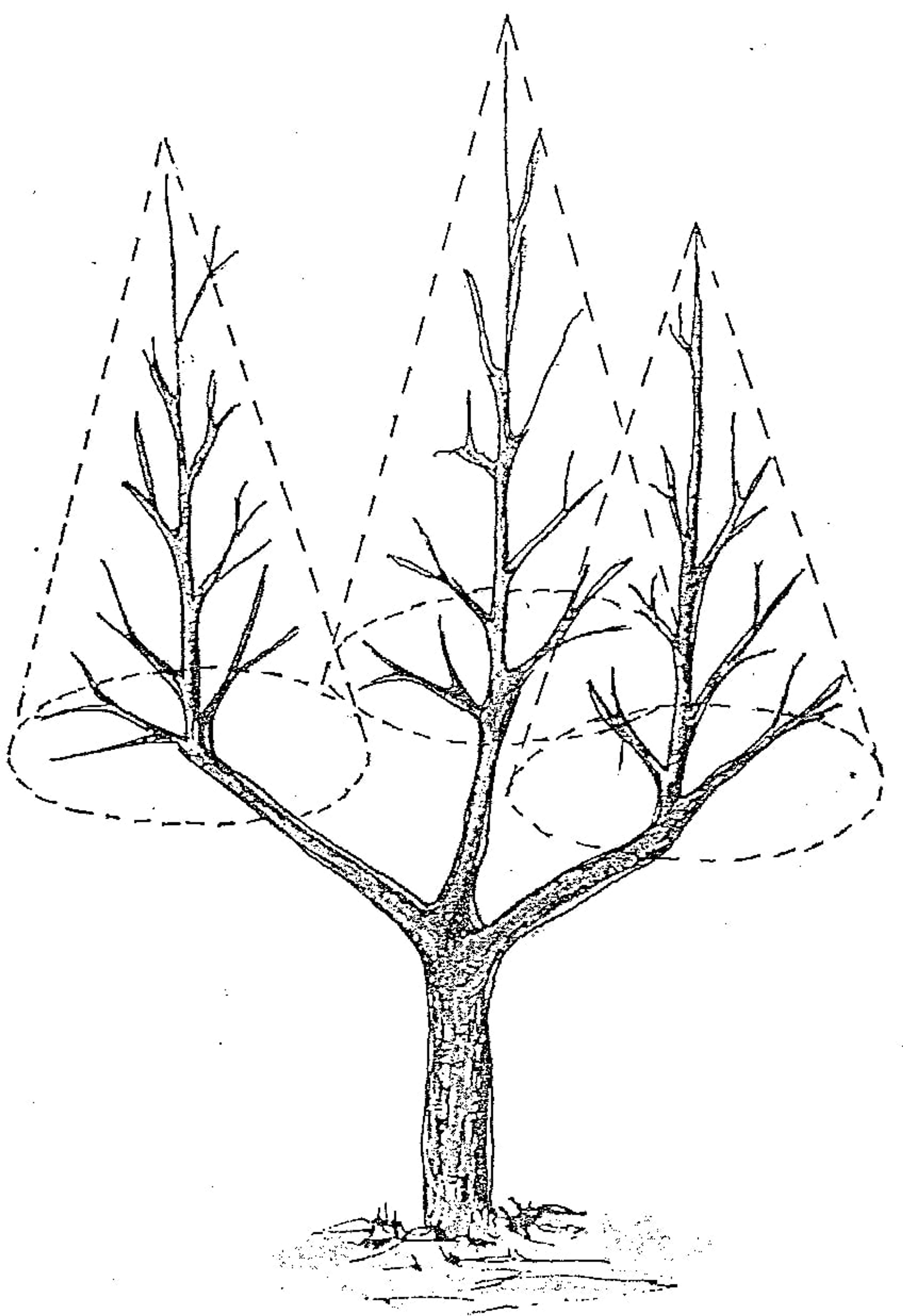 7f93a2ac-2a13-4b74-b929-70d1823f5b67.jpg