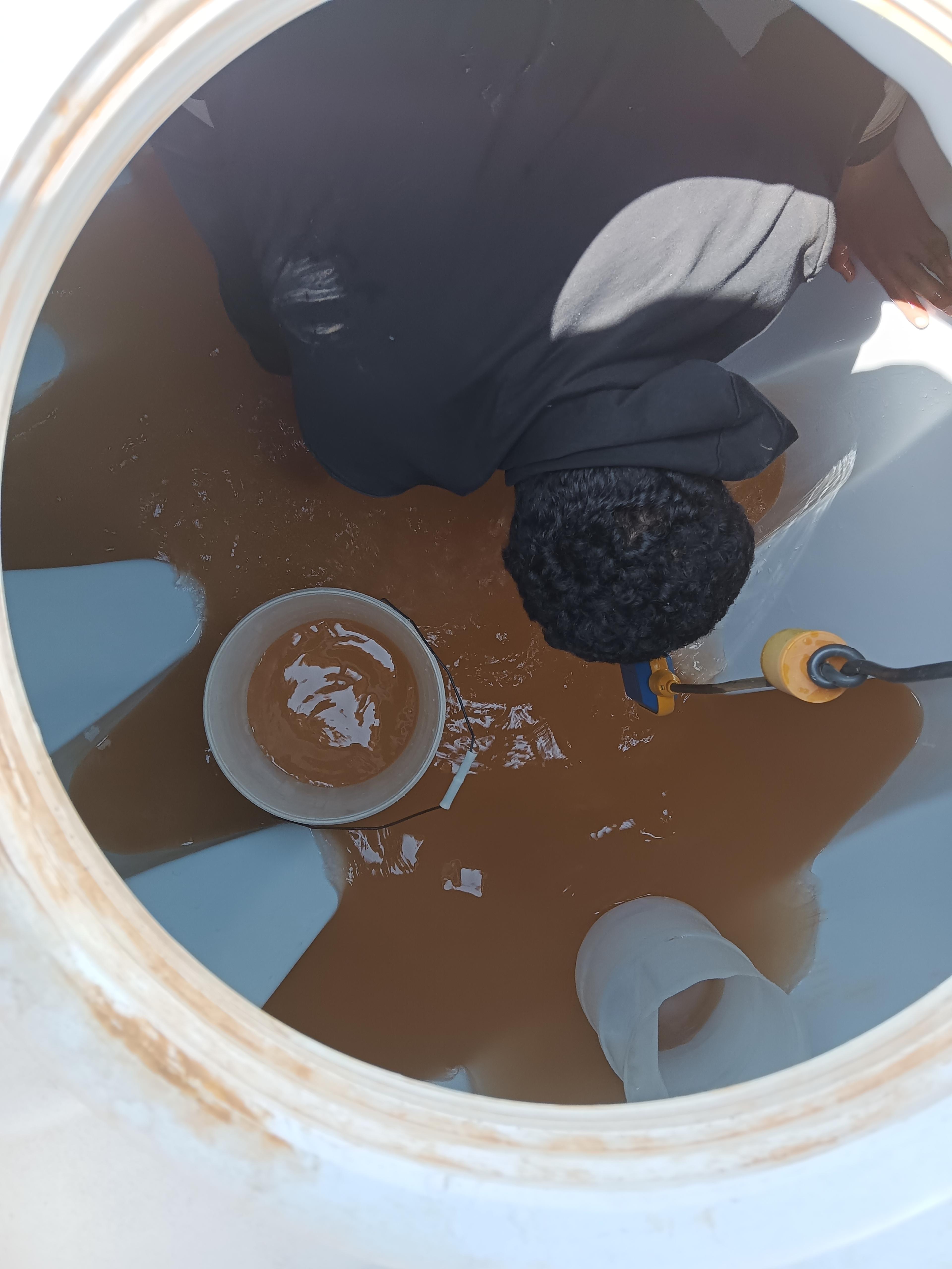 80e64320-ffcf-477d-8b38-742114328d58.jpeg