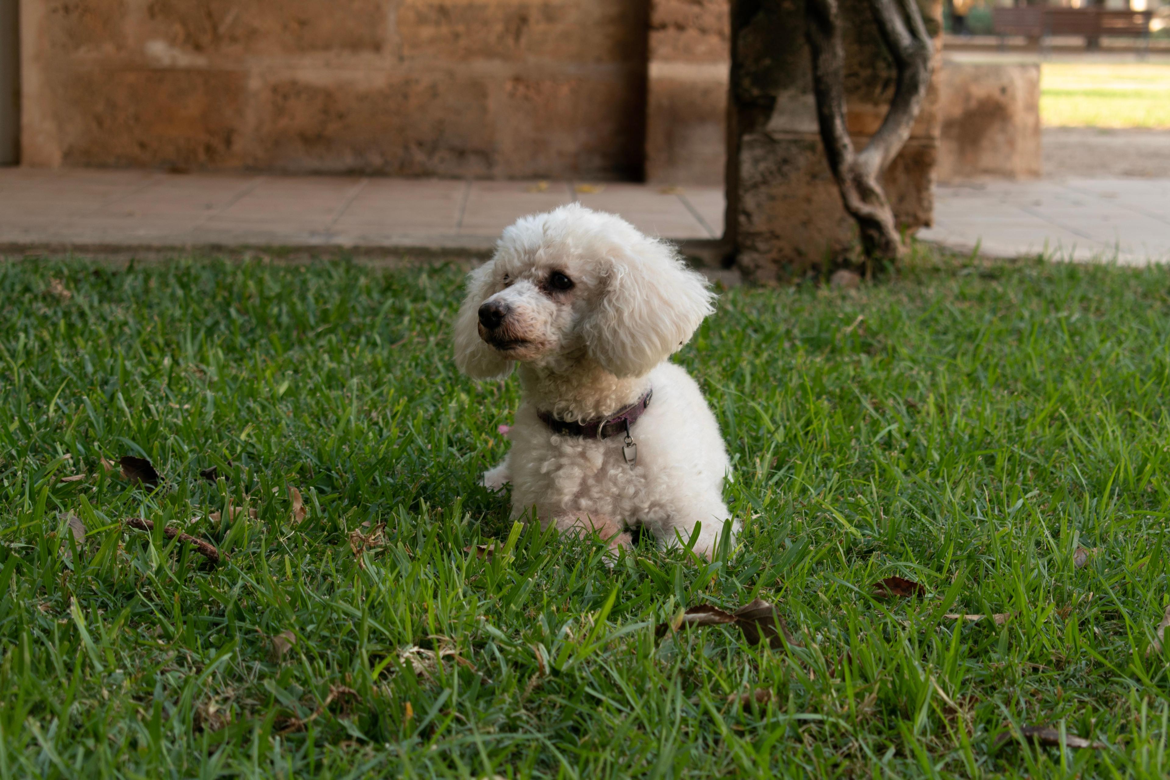 811229c9-2cbf-4d7d-8e3d-e89621572b0f.jpeg