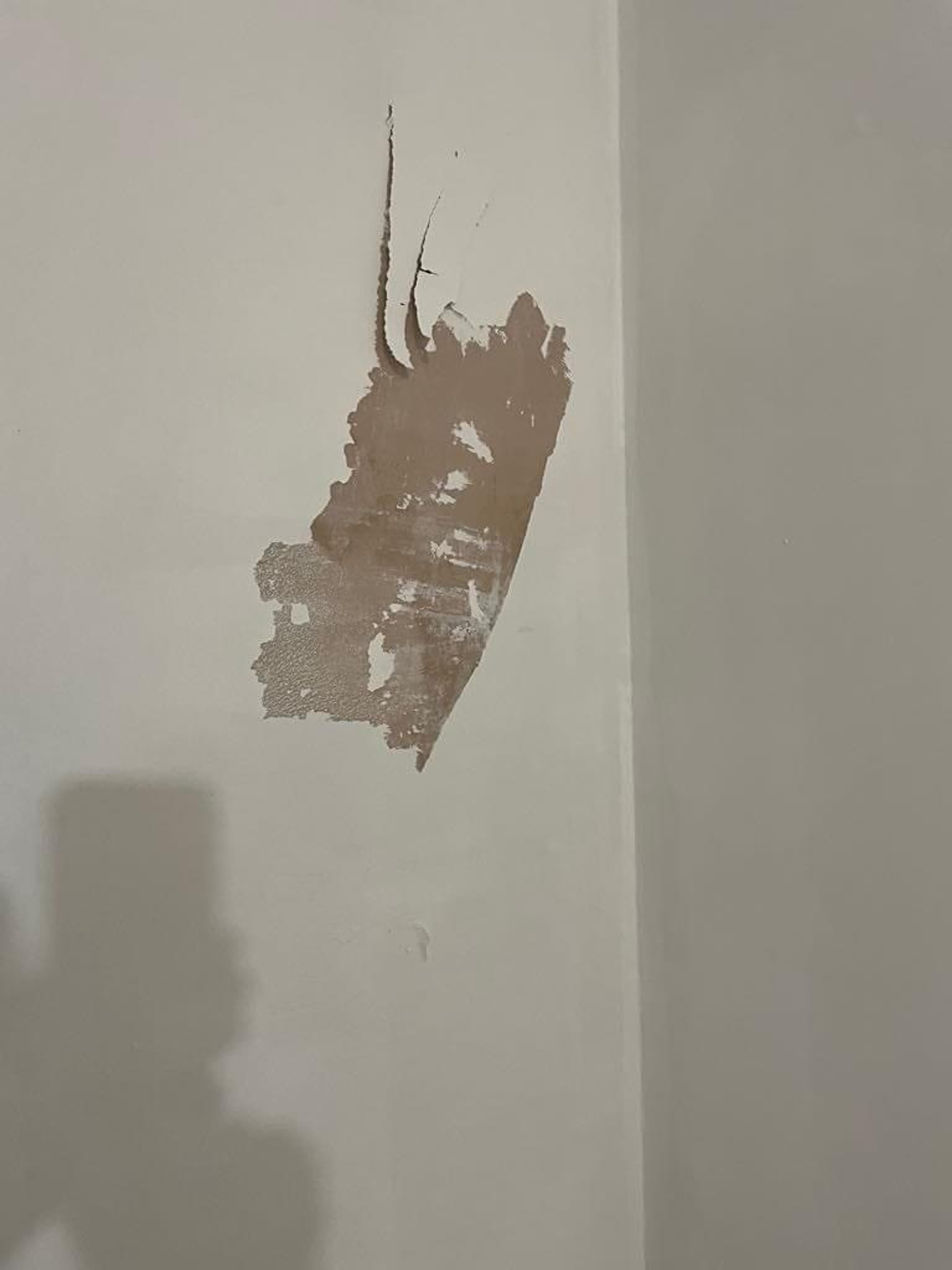 816e9cdb-a056-4d84-a0c2-40cb2b722e0d.jpeg