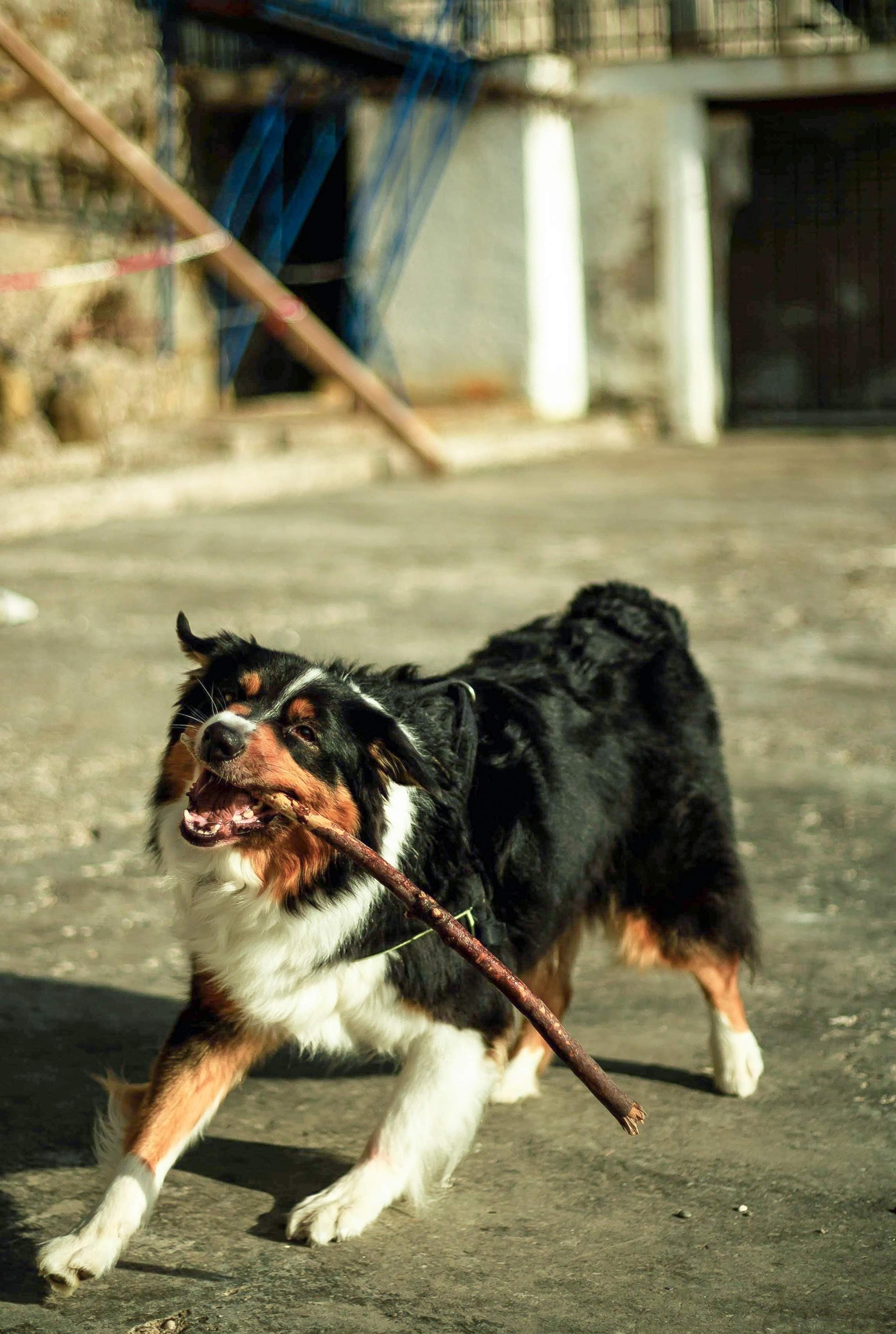 8270f360-65e7-4d96-ab93-0b02d6c3e982.jpeg